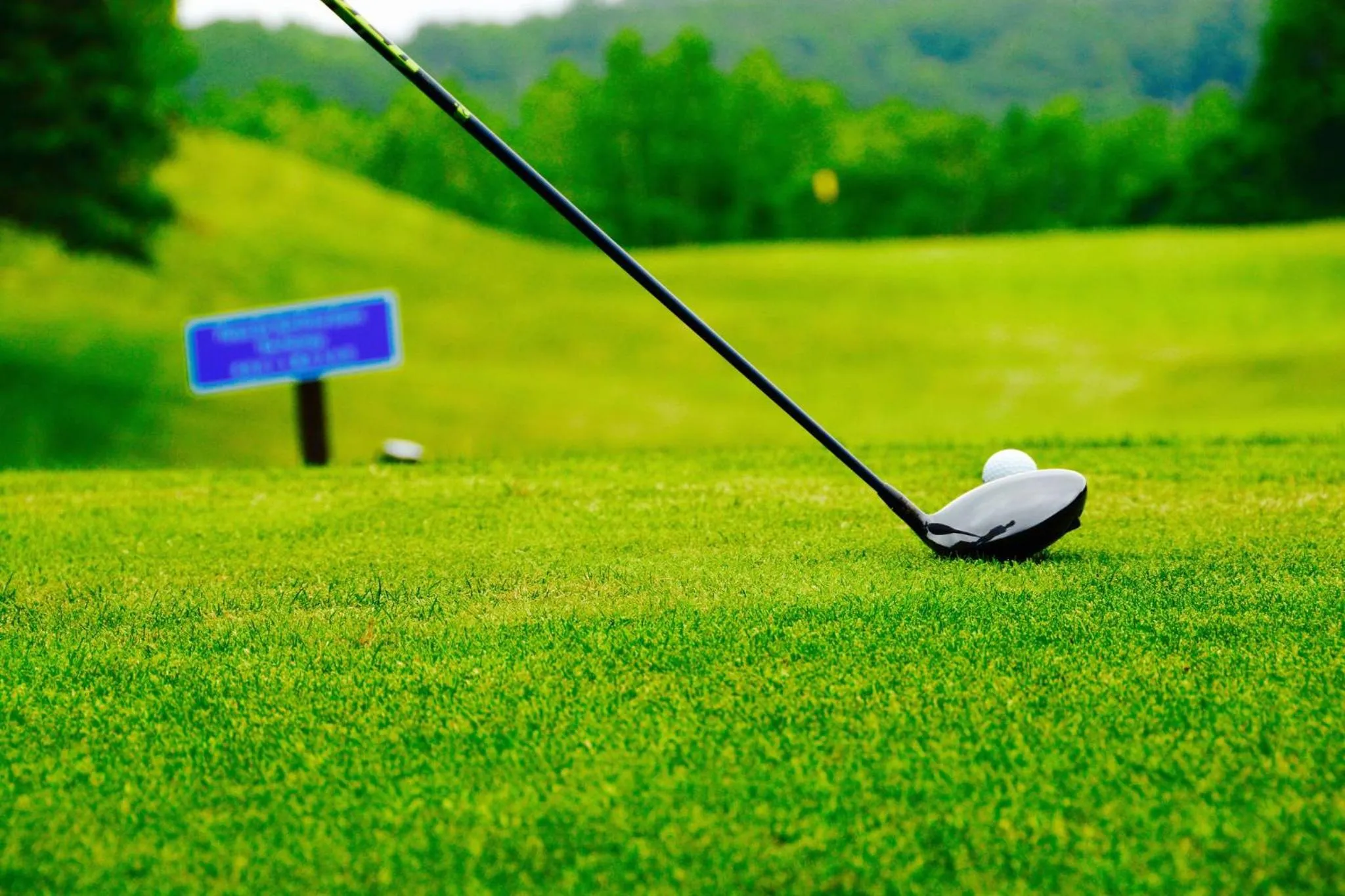 Activities in Niseko Landmark View