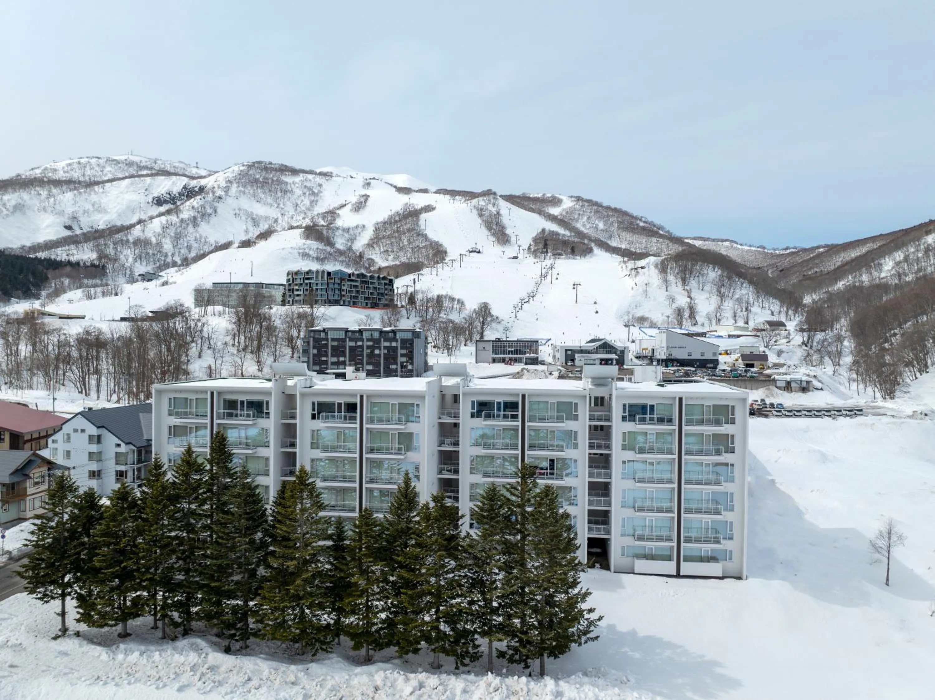 Winter in Niseko Landmark View