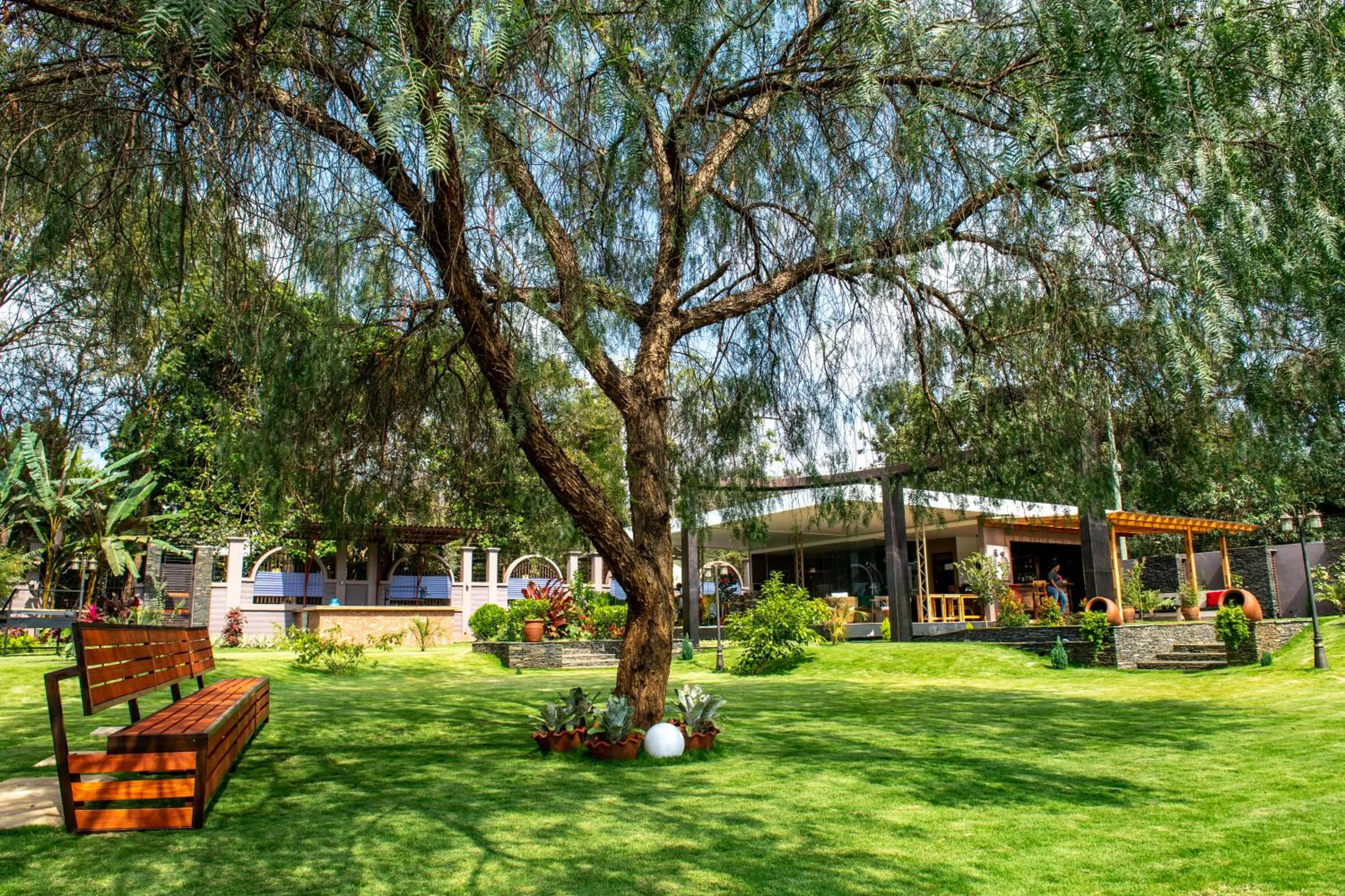 Garden in Kinga Homes Boutique Hotel