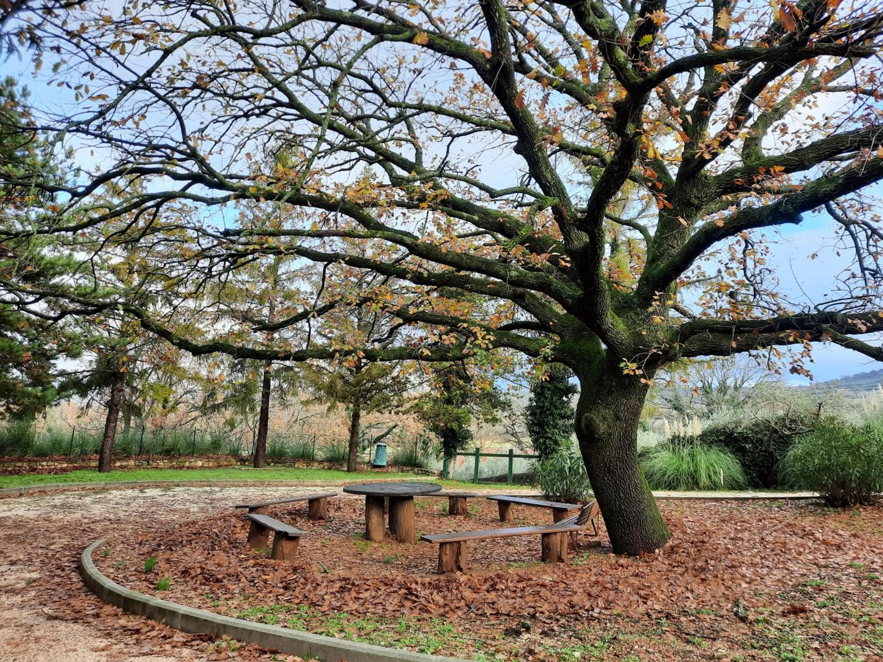 Natural landscape in Affittacamere Santa Maria di Betlem