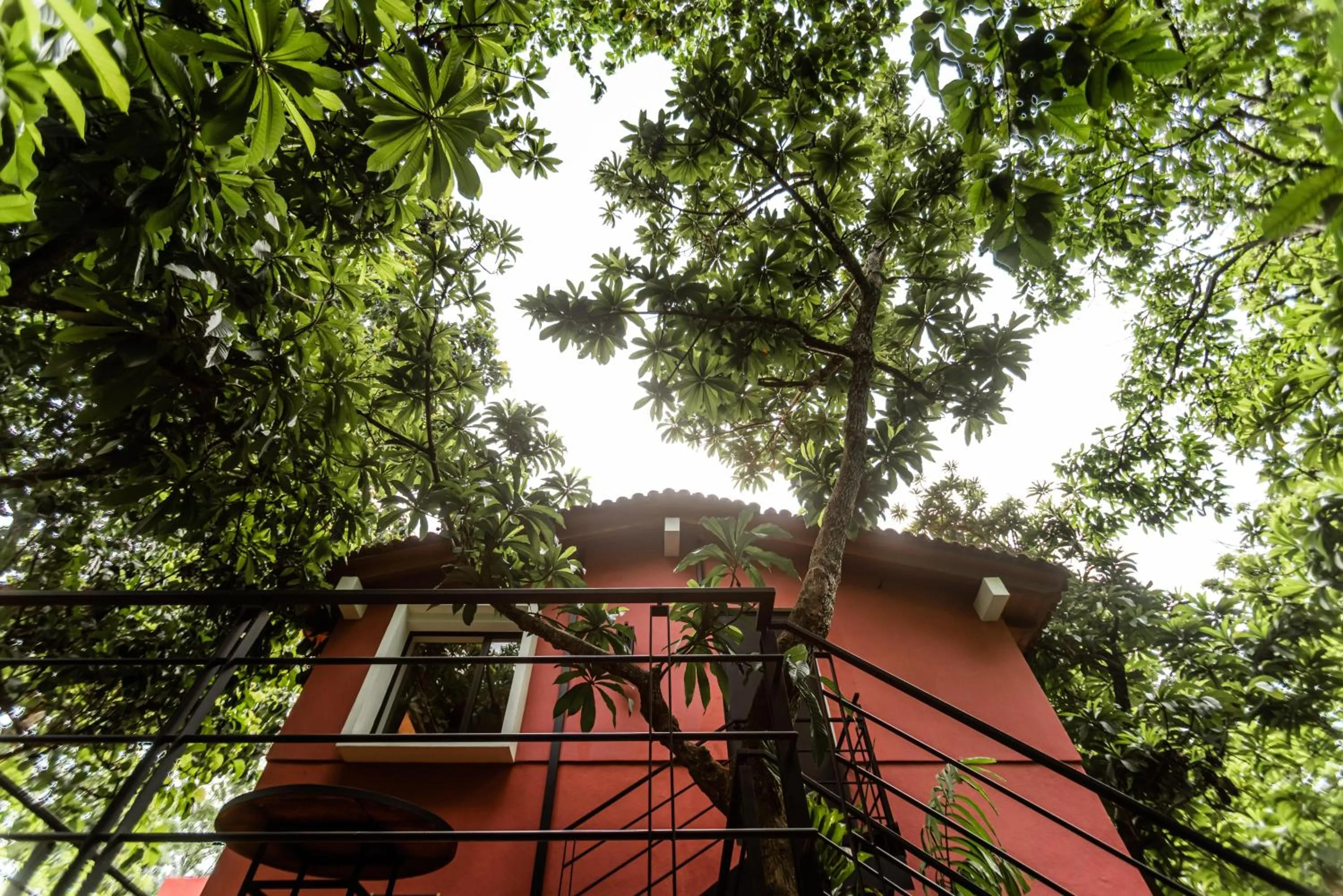 Balcony/Terrace in La Paranera Hotel & Relax
