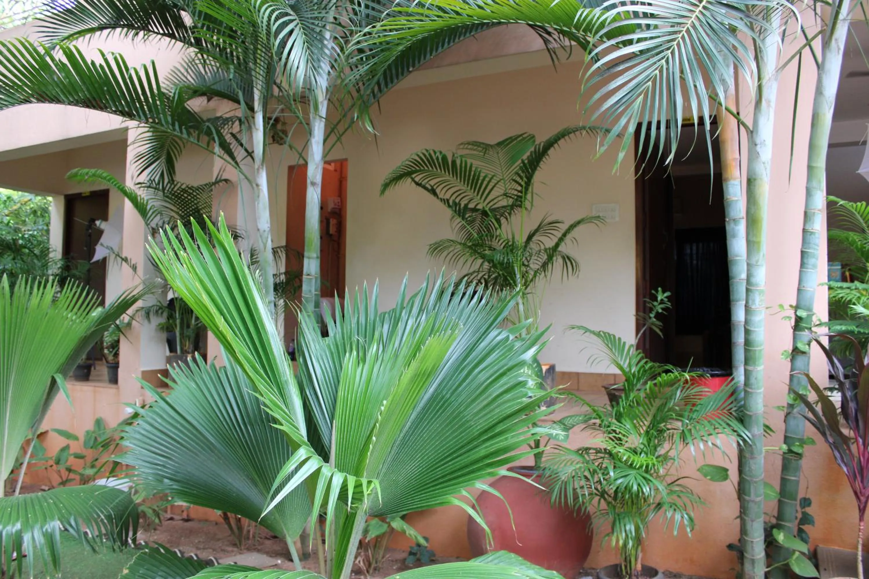 Property building in PV Resort - Auro Beach