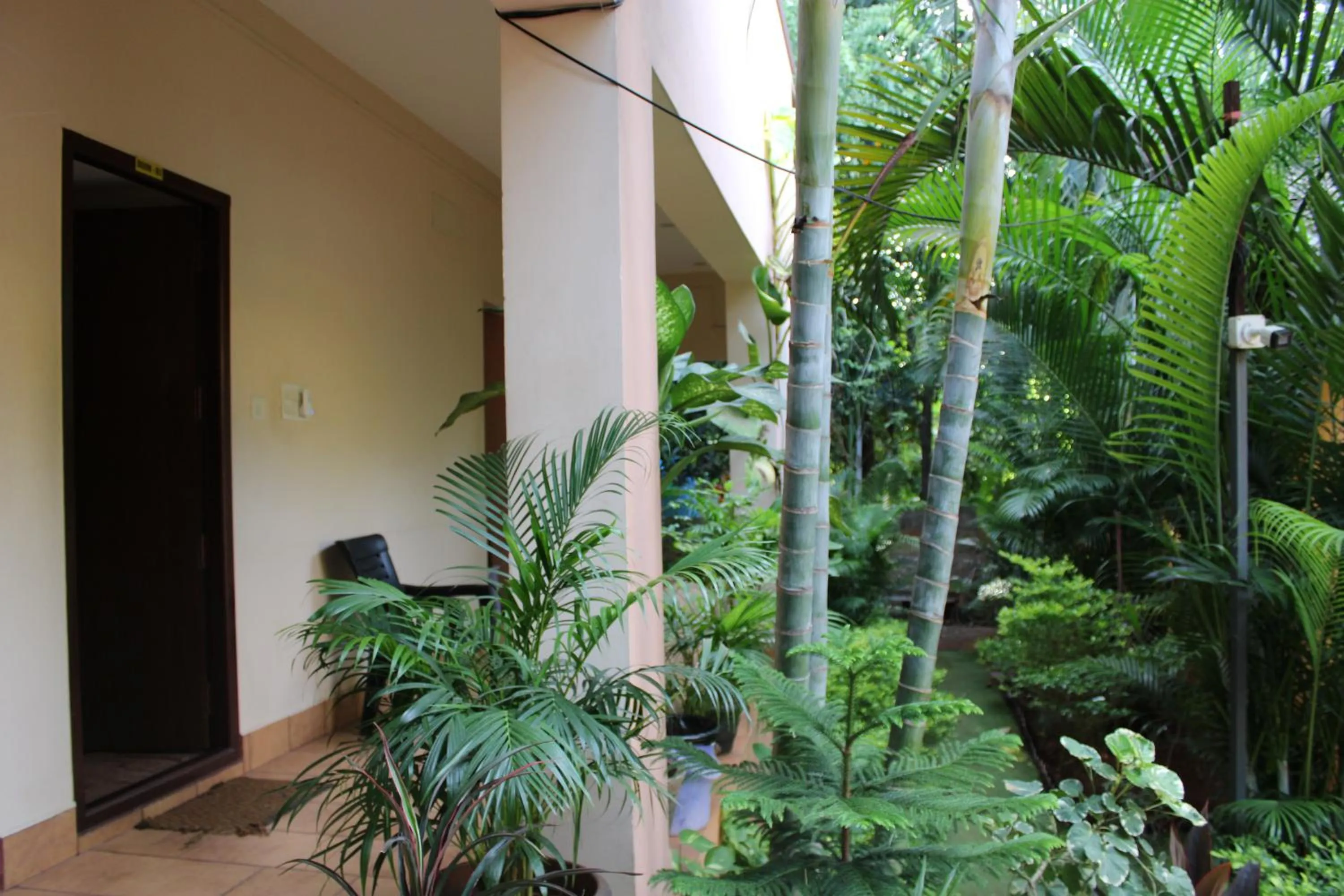 Property building in PV Resort - Auro Beach
