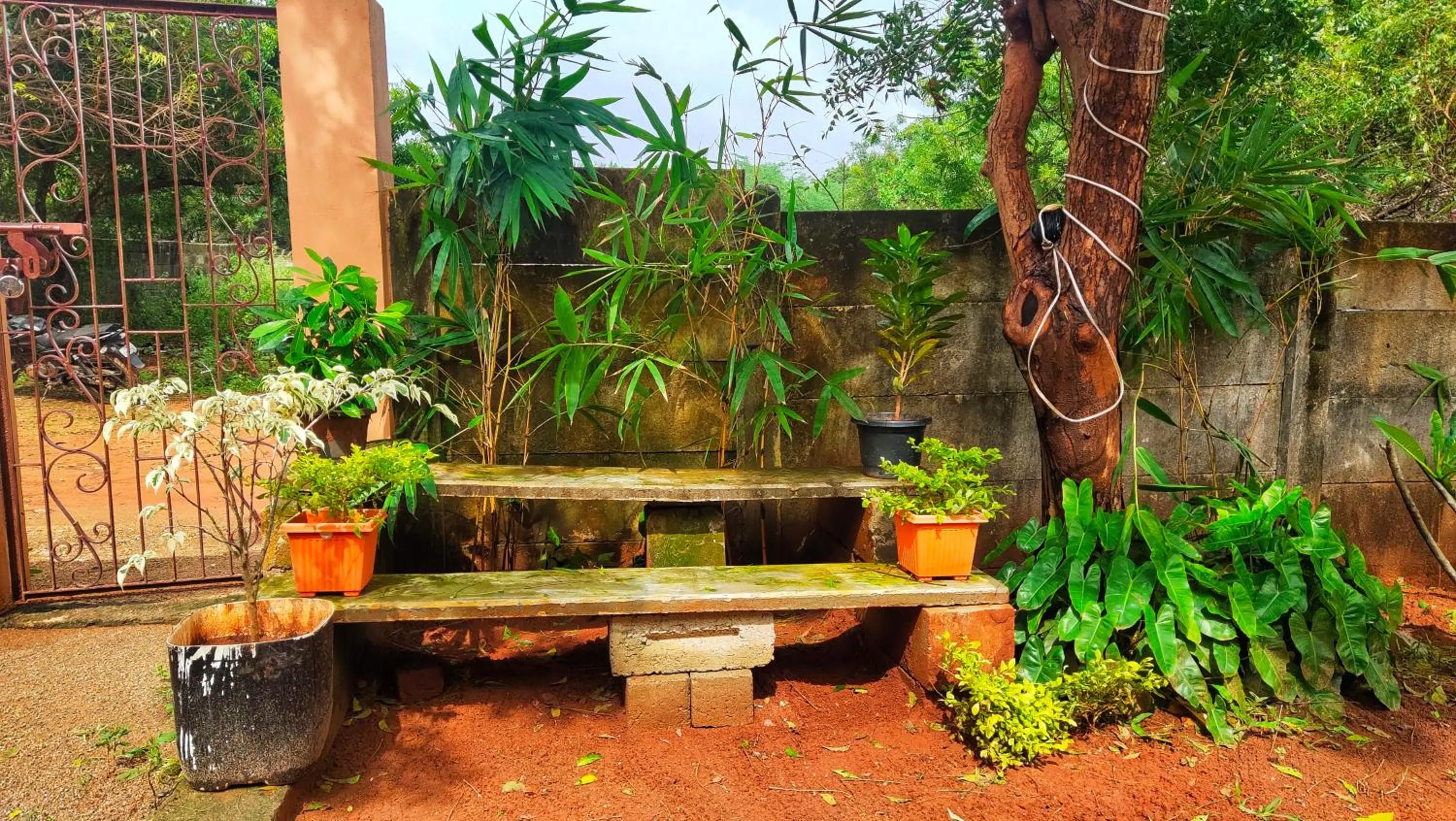 Patio in PV Resort - Auro Beach