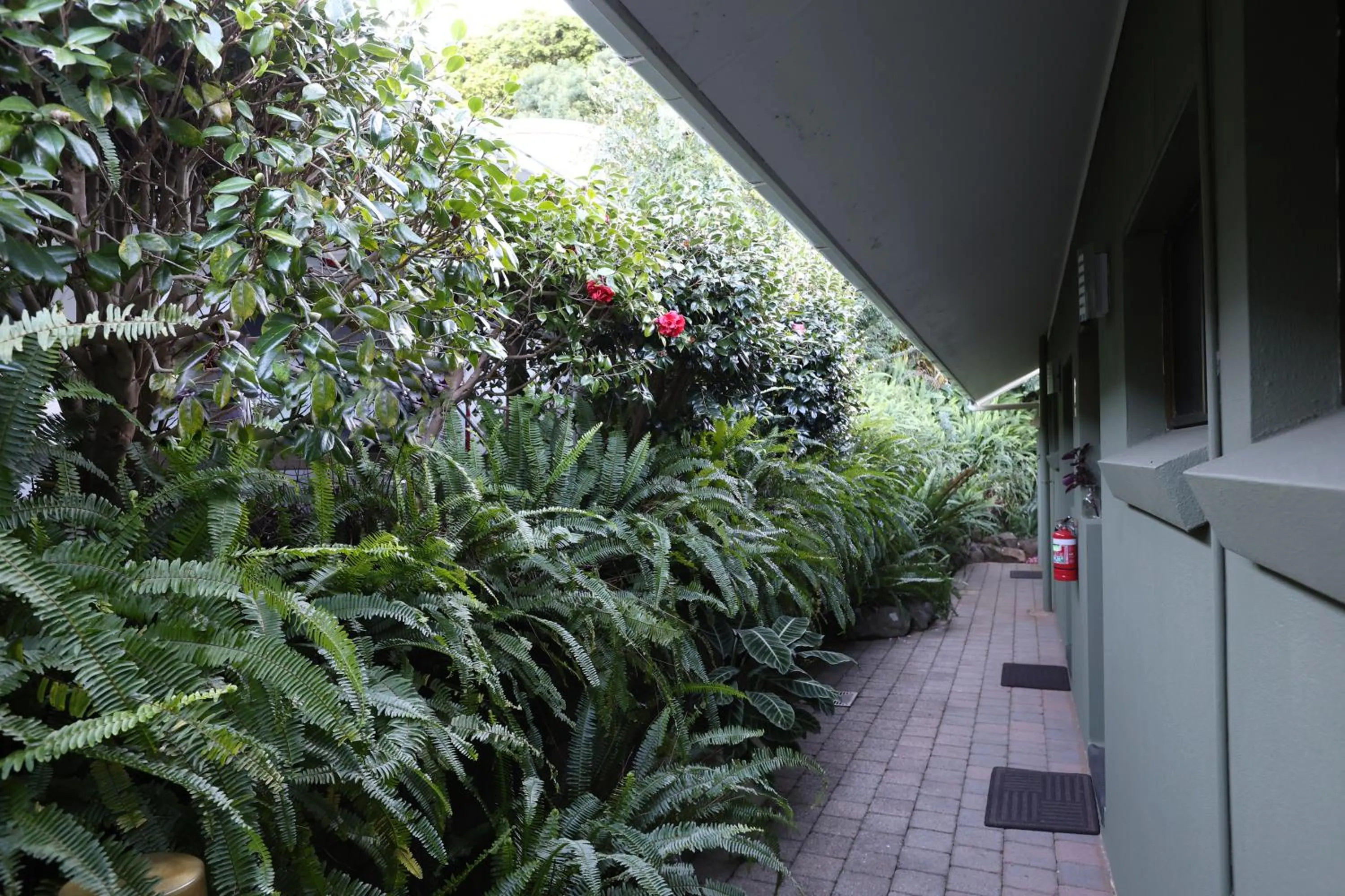 Property building in Maleny Views Motel