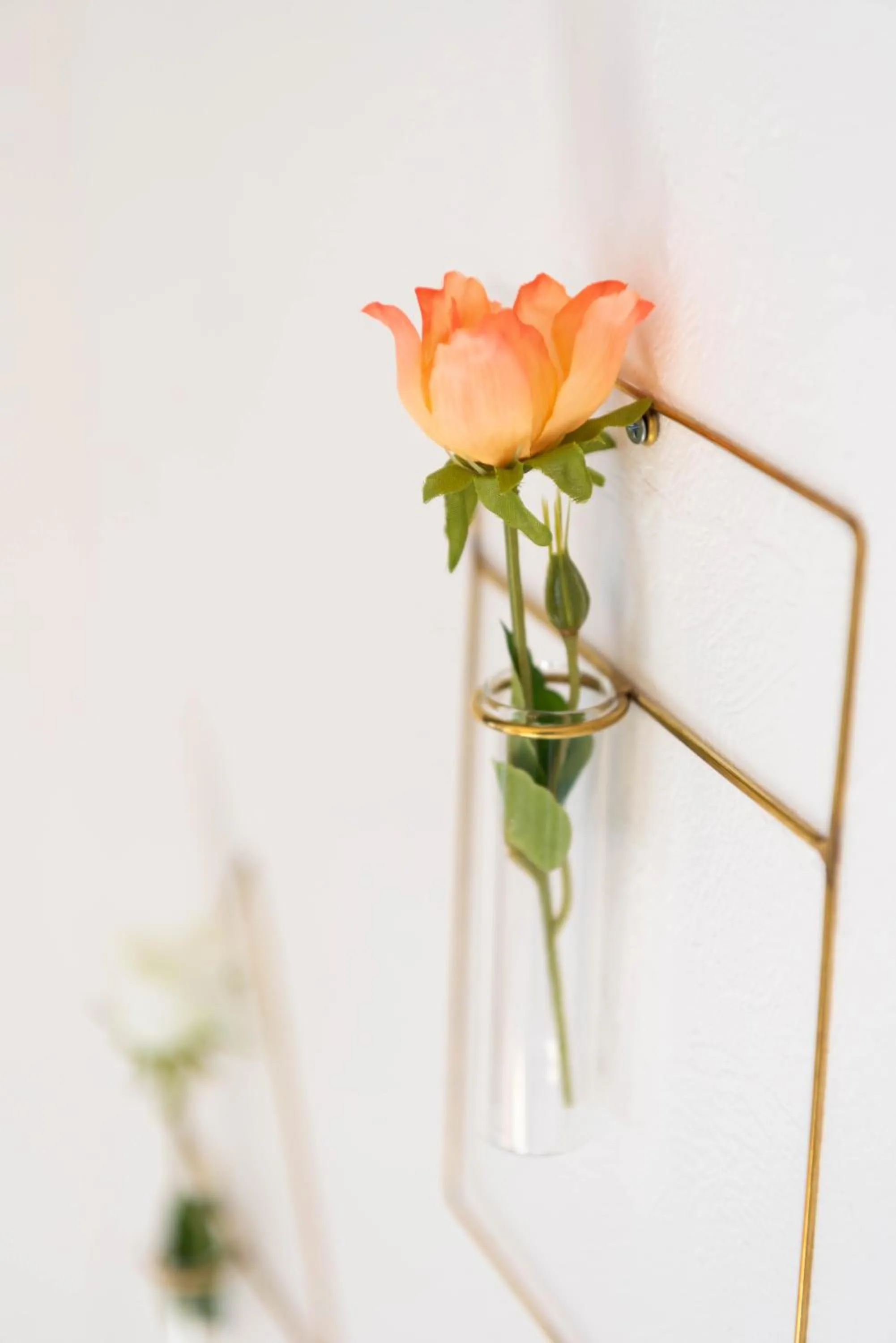 Decorative detail in Bijou Suites Bloom