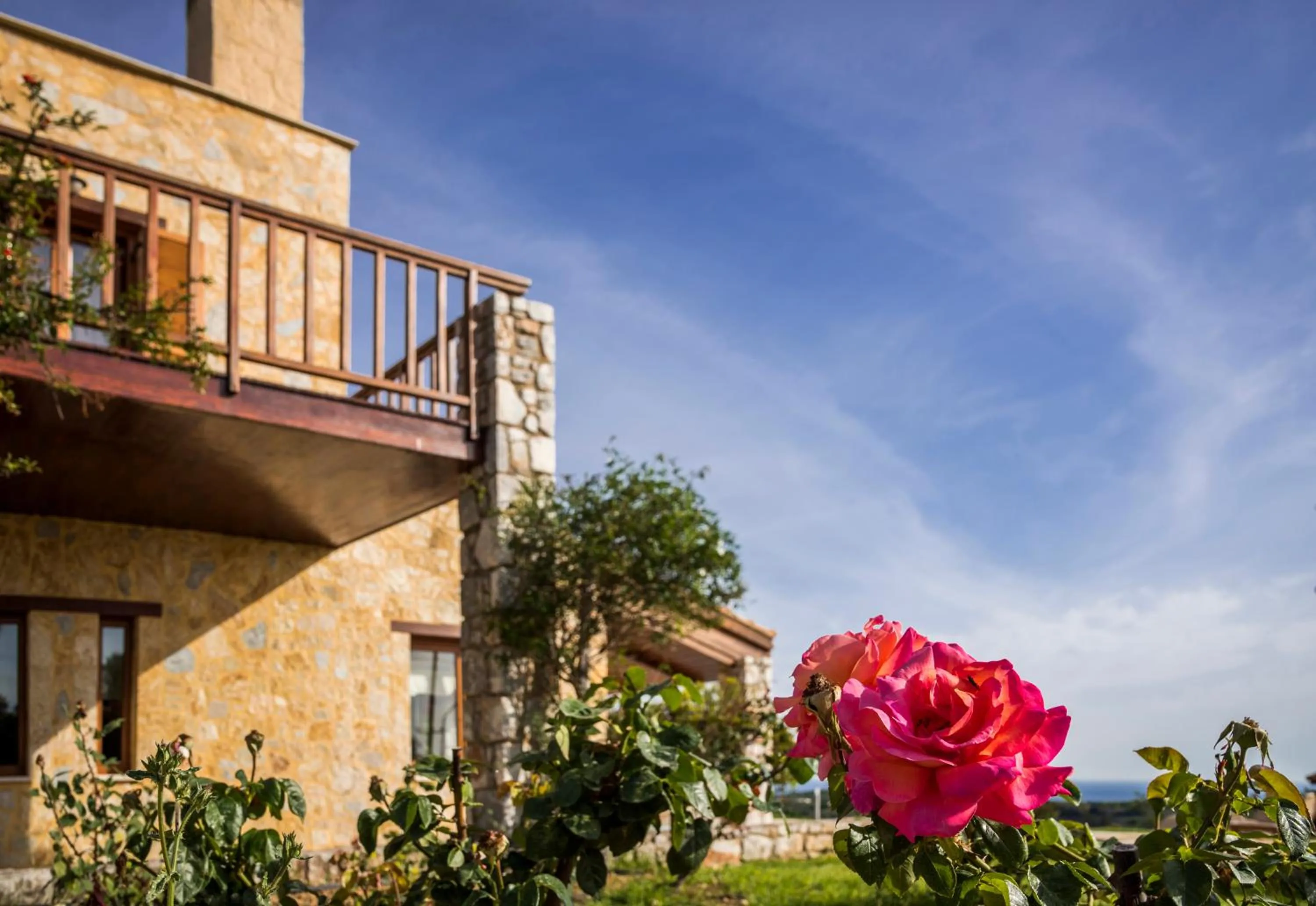 Garden in Athina Luxury Villas