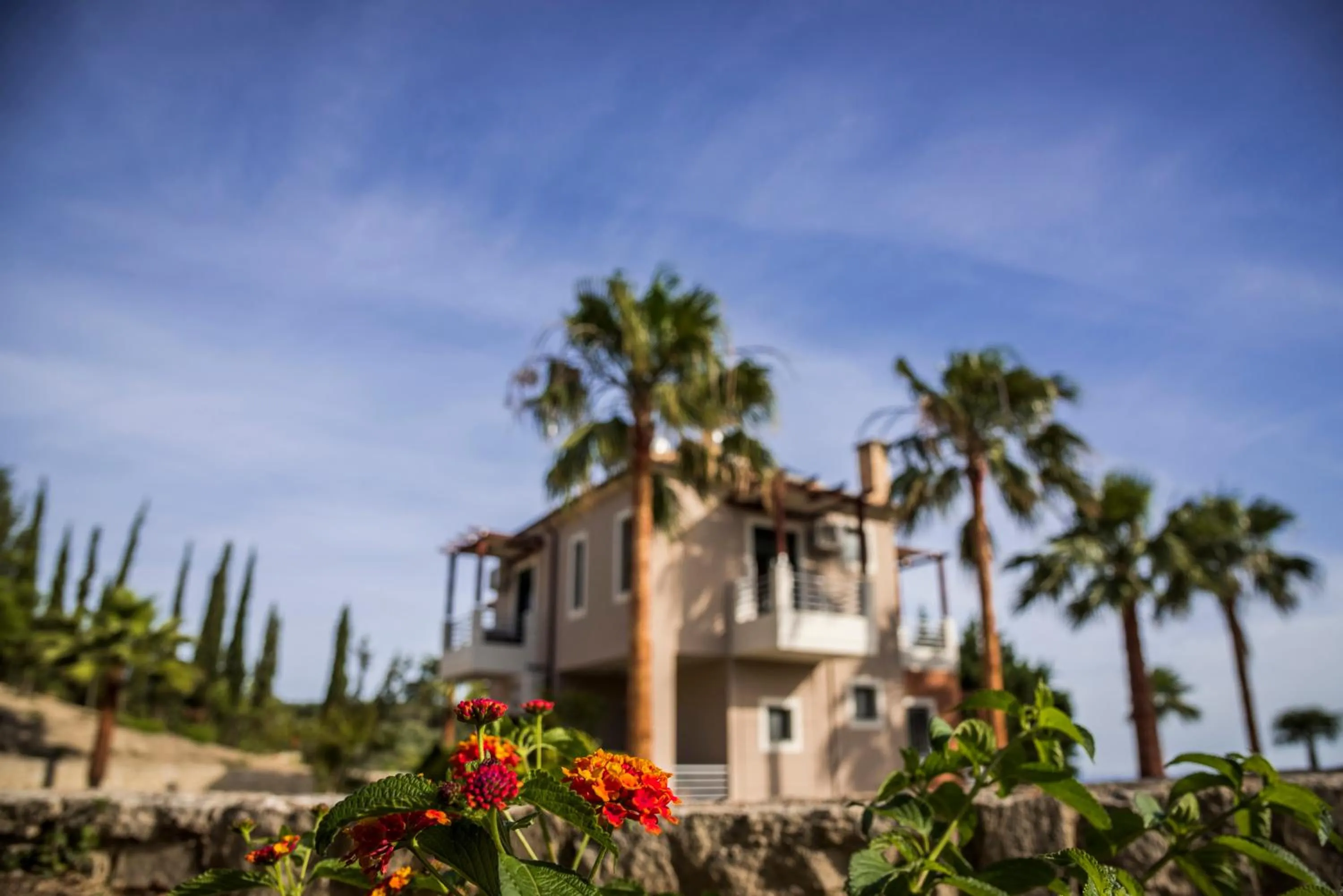 Garden in Athina Luxury Villas