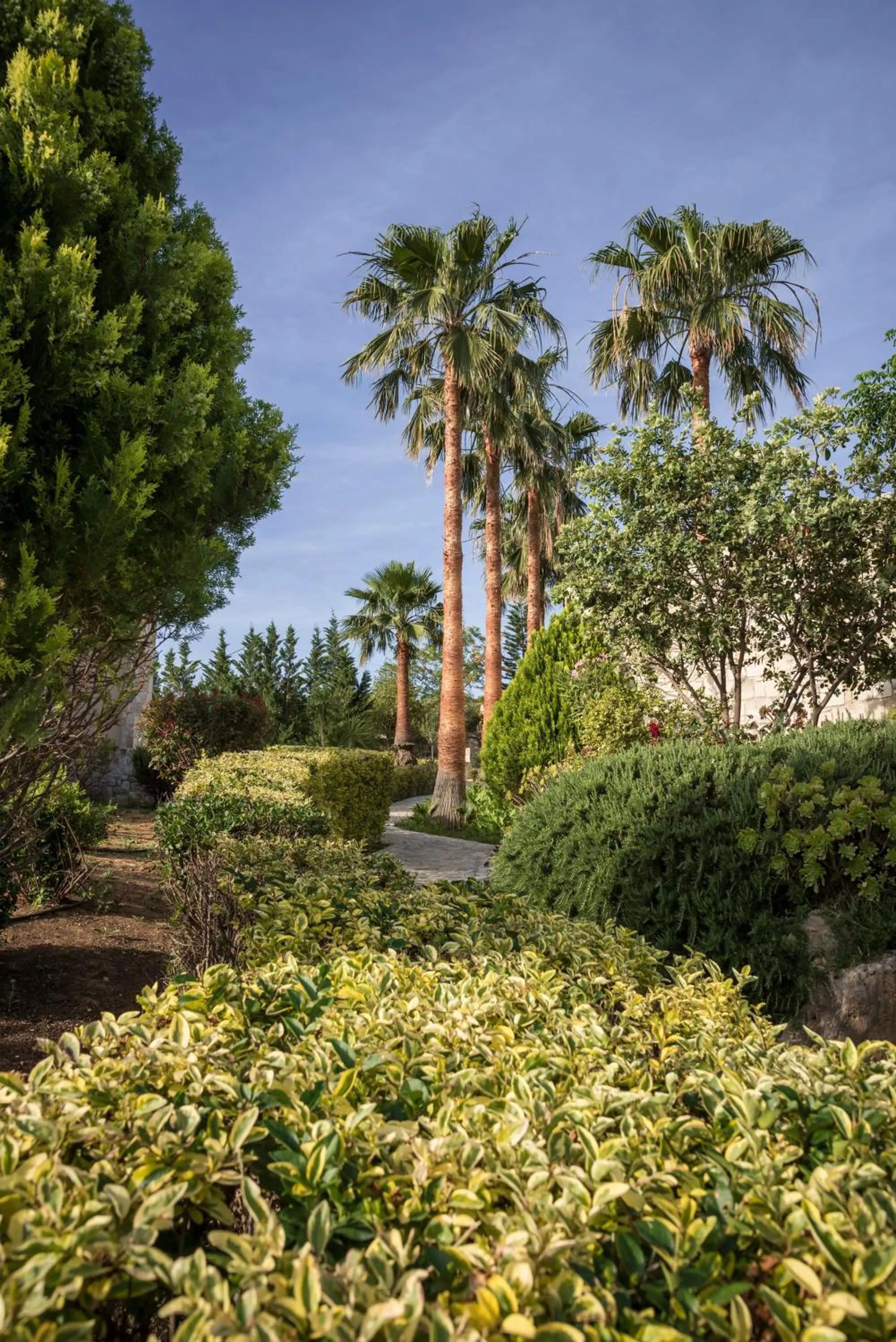 Day in Athina Luxury Villas