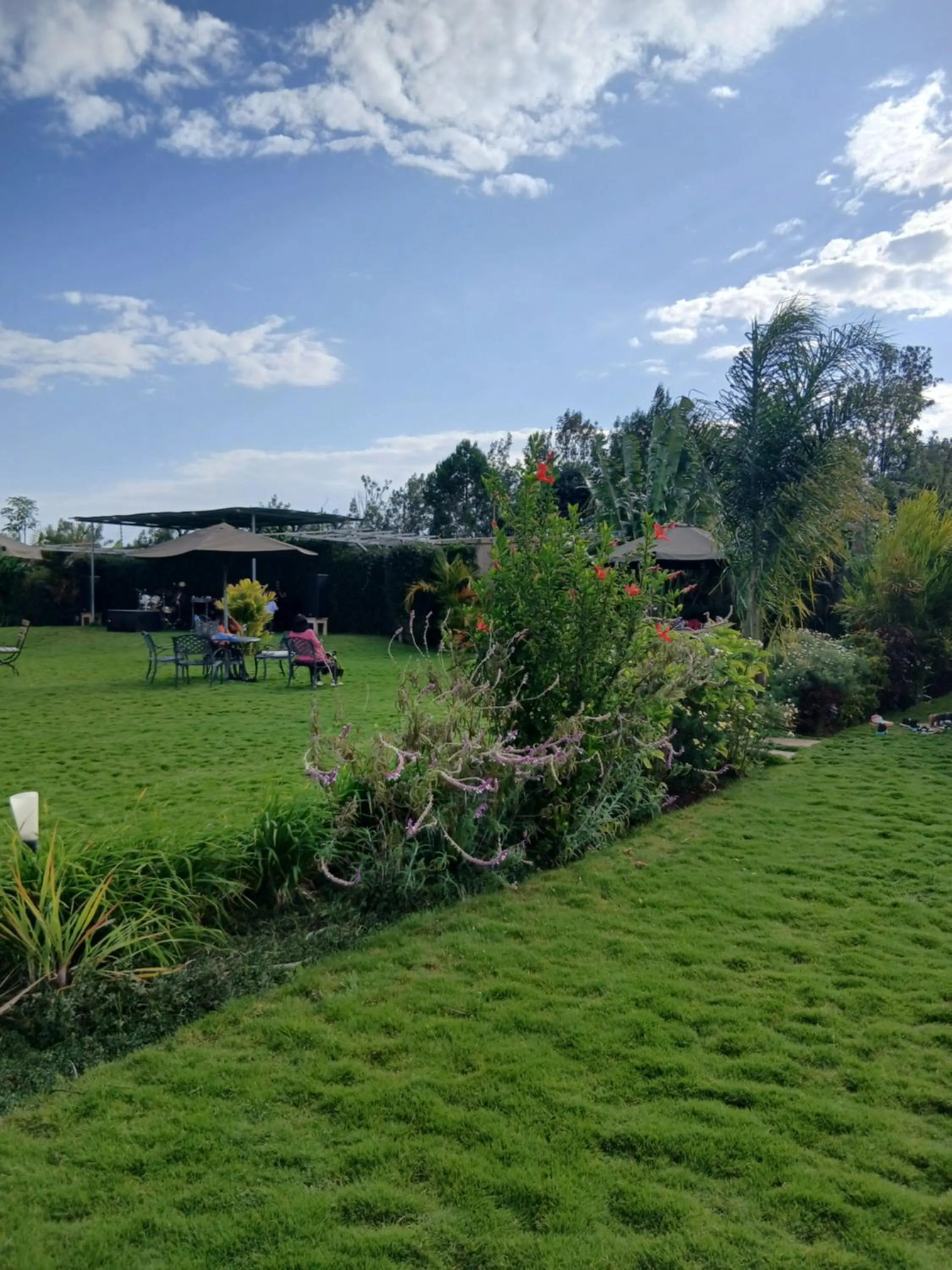 Garden in Esiankiki Resort & Spa - Nanyuki