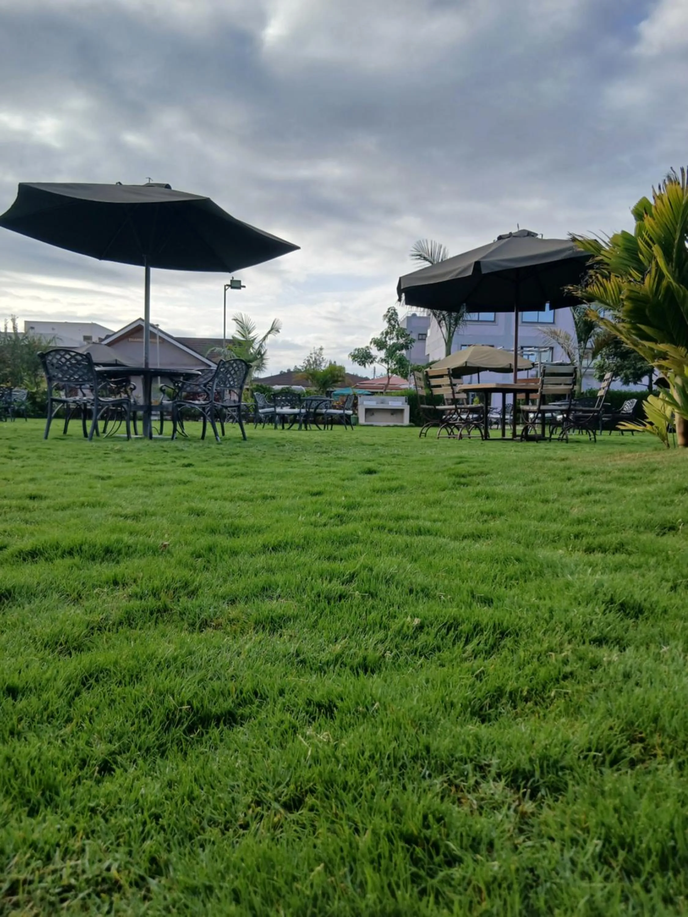 Natural landscape in Esiankiki Resort & Spa - Nanyuki