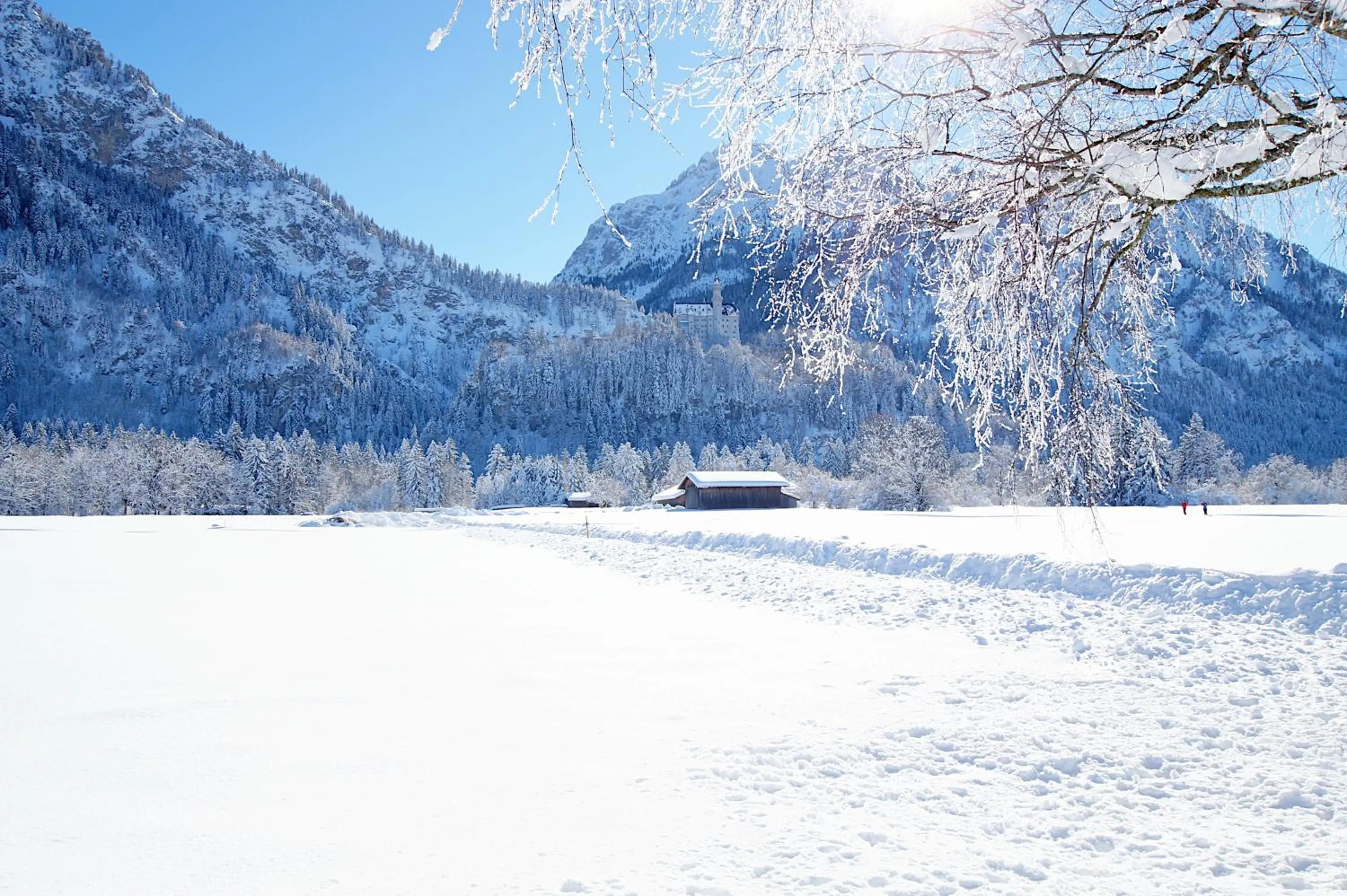 Winter in Hotel Waldmann
