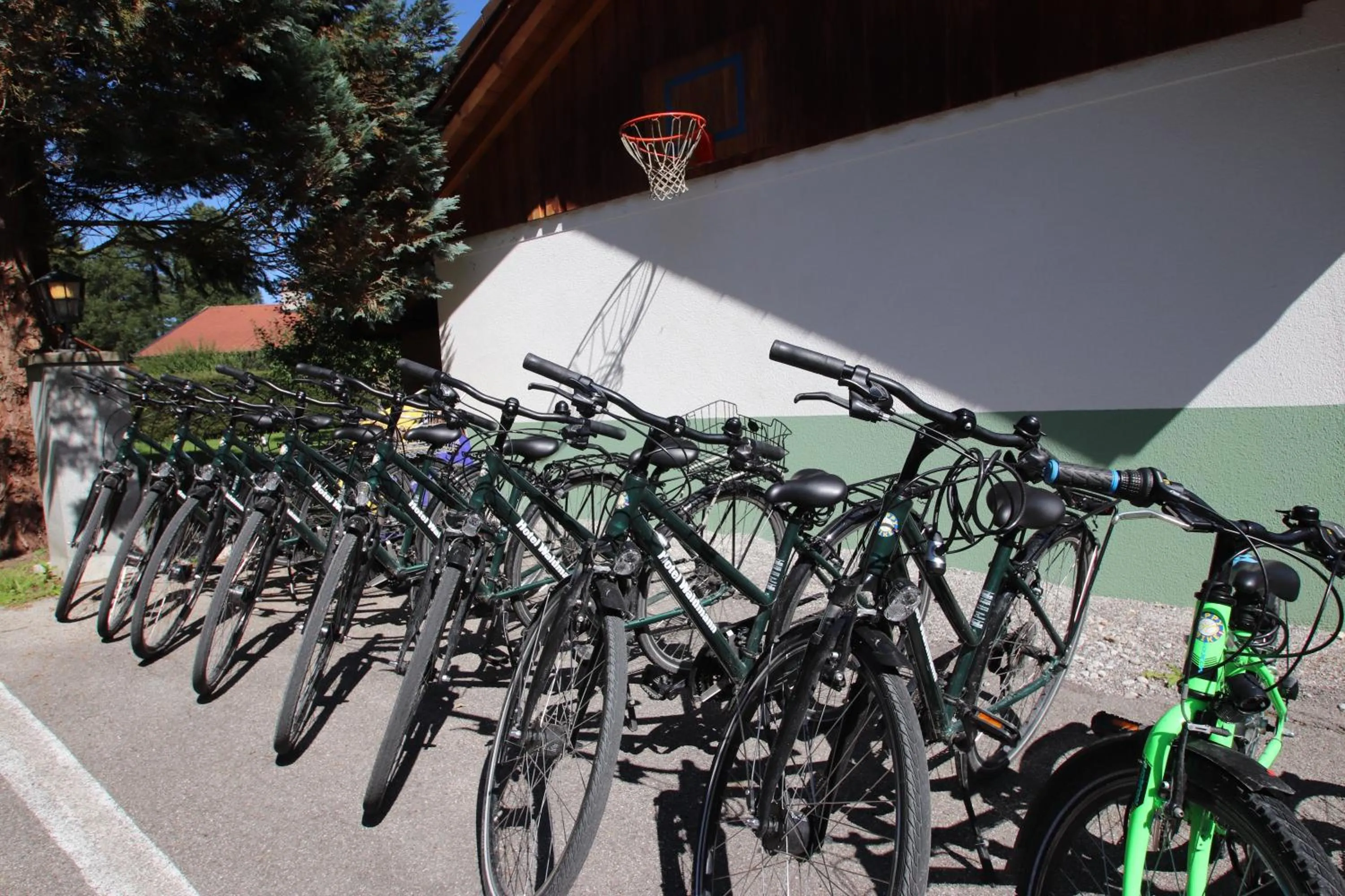 Cycling in Hotel Waldmann