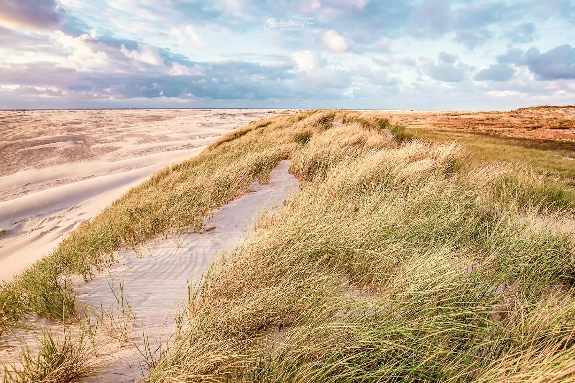 Natural landscape in Relitto Boutique und Aparthotel Borkum