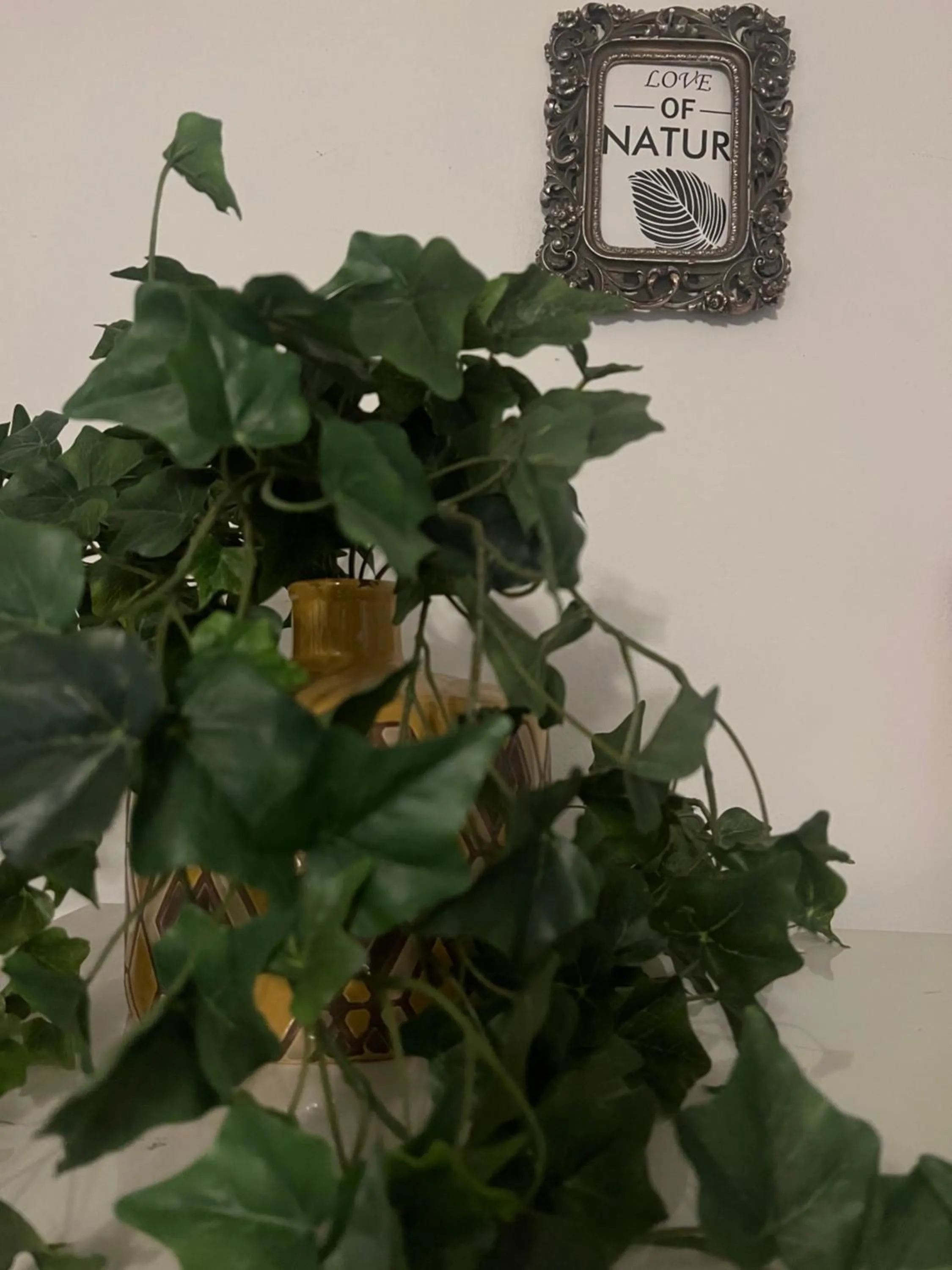 Decorative detail in Lamda Vintage Appartment