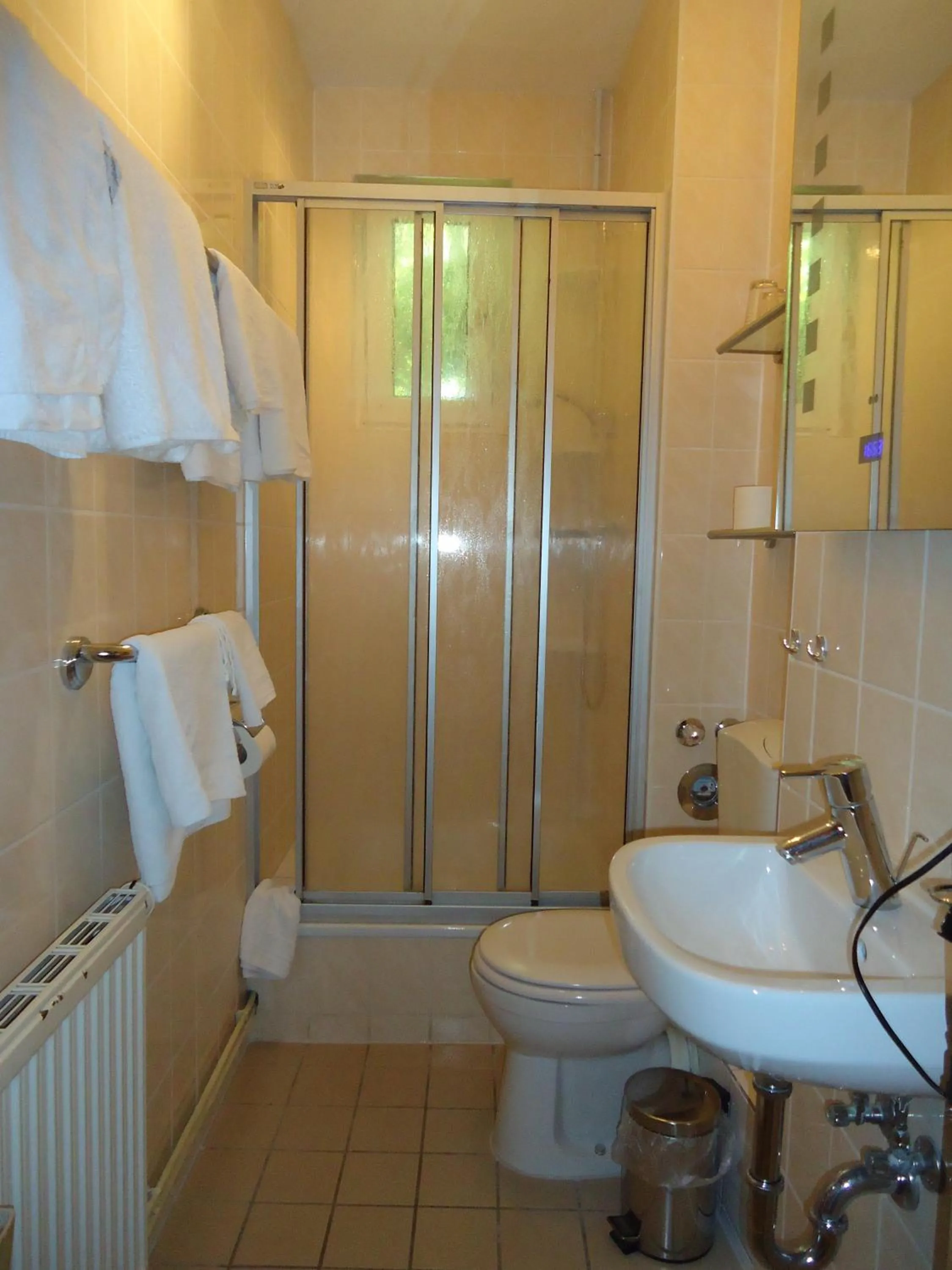 Bathroom in Hotel Schweizer Hof