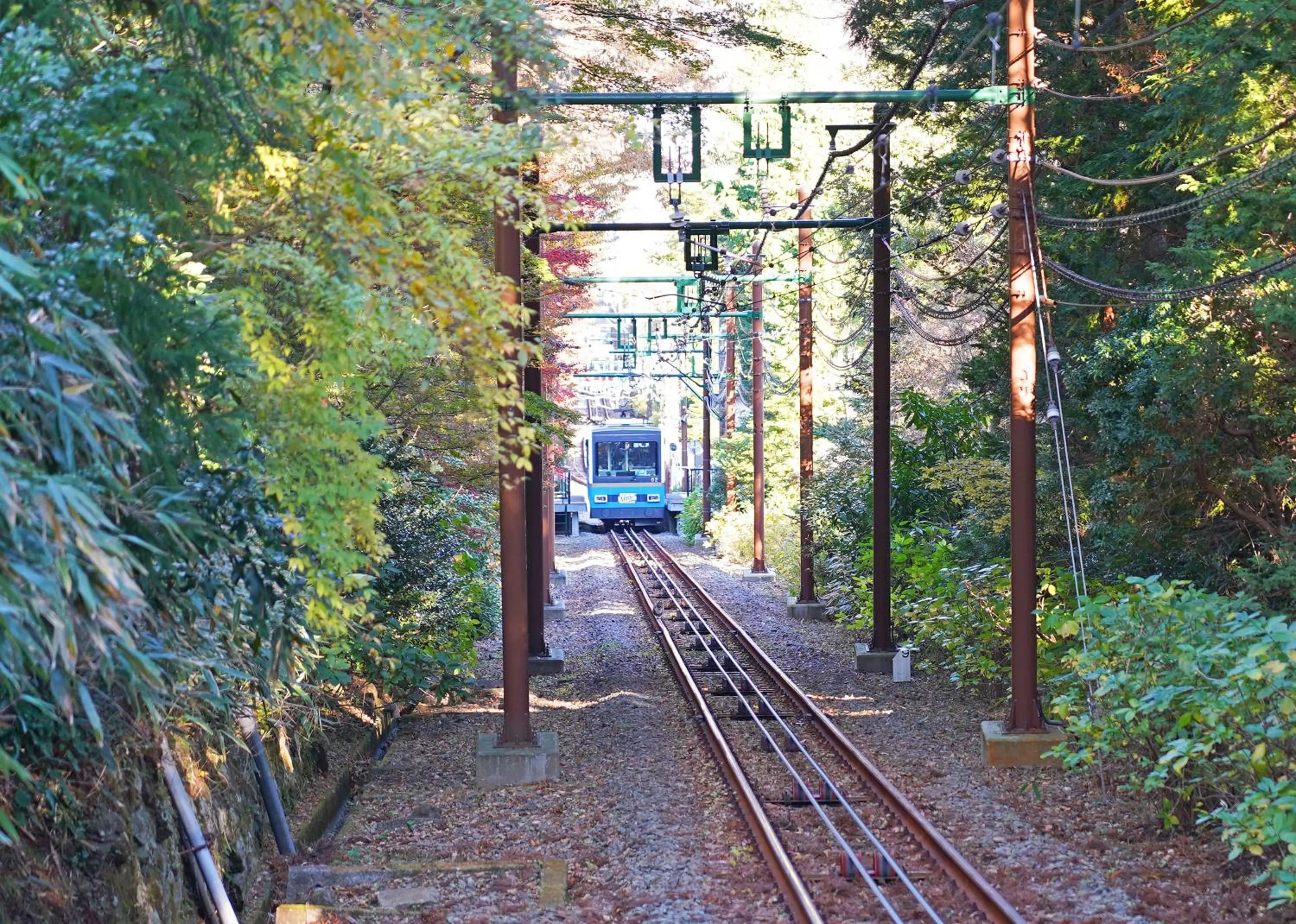 Neighbourhood in Villa Liberte Hakone Gora