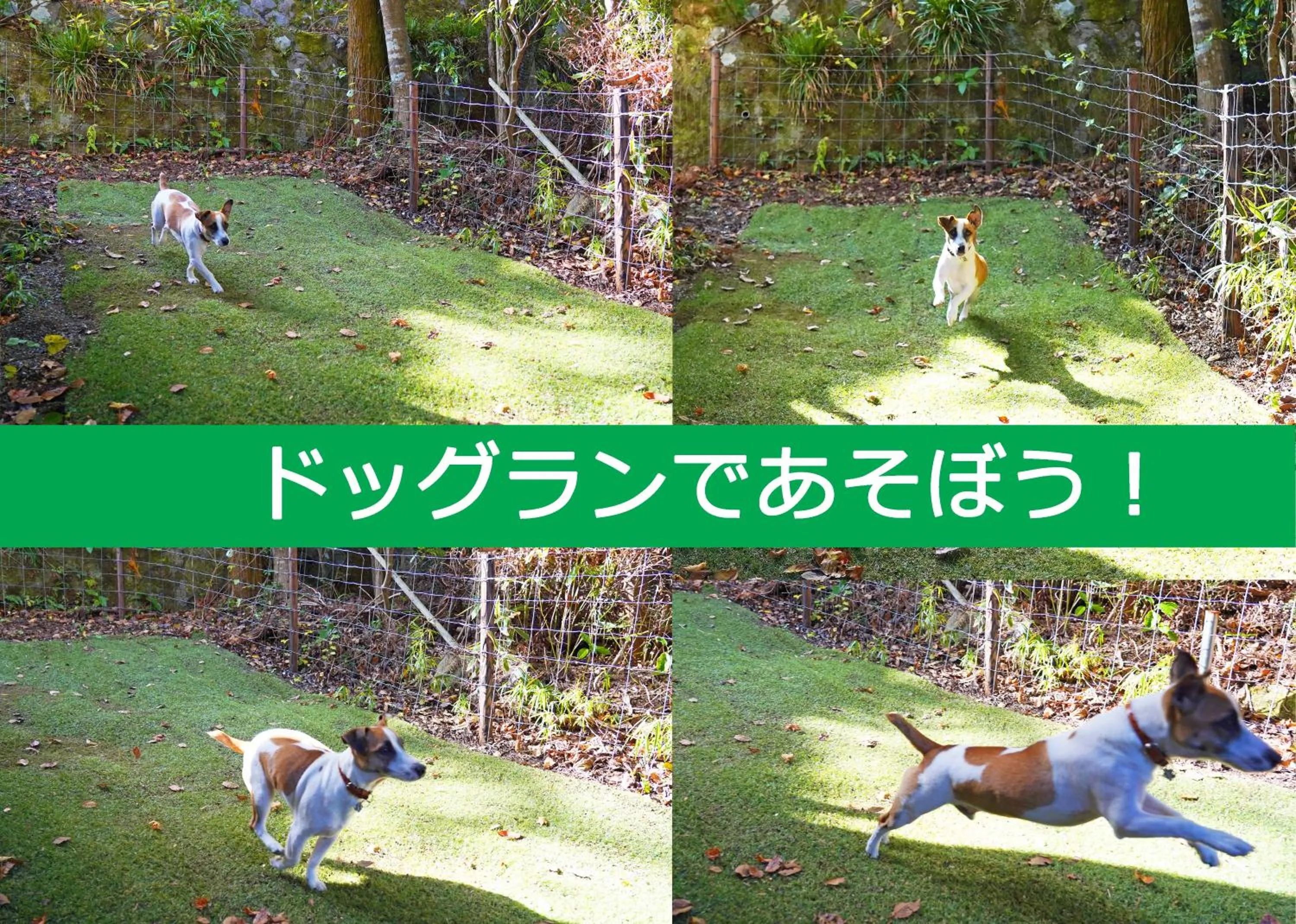 Garden in Villa Liberte Hakone Gora