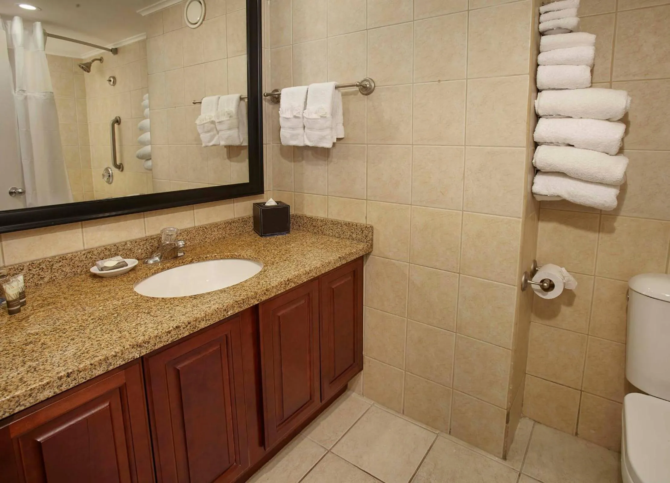 Bathroom in Divi Aruba Phoenix Beach Resort