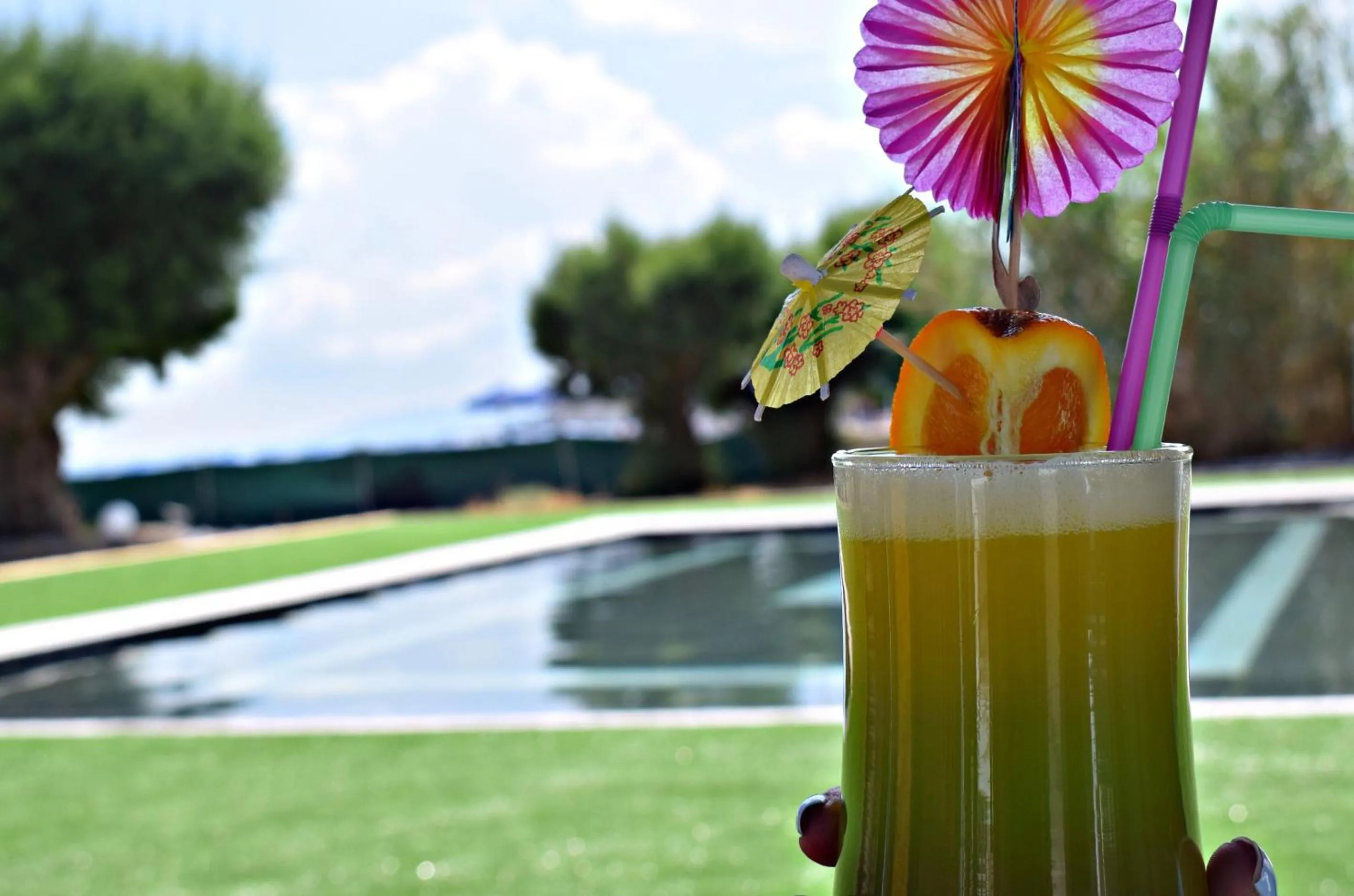 Garden in Sun Beach Lindos