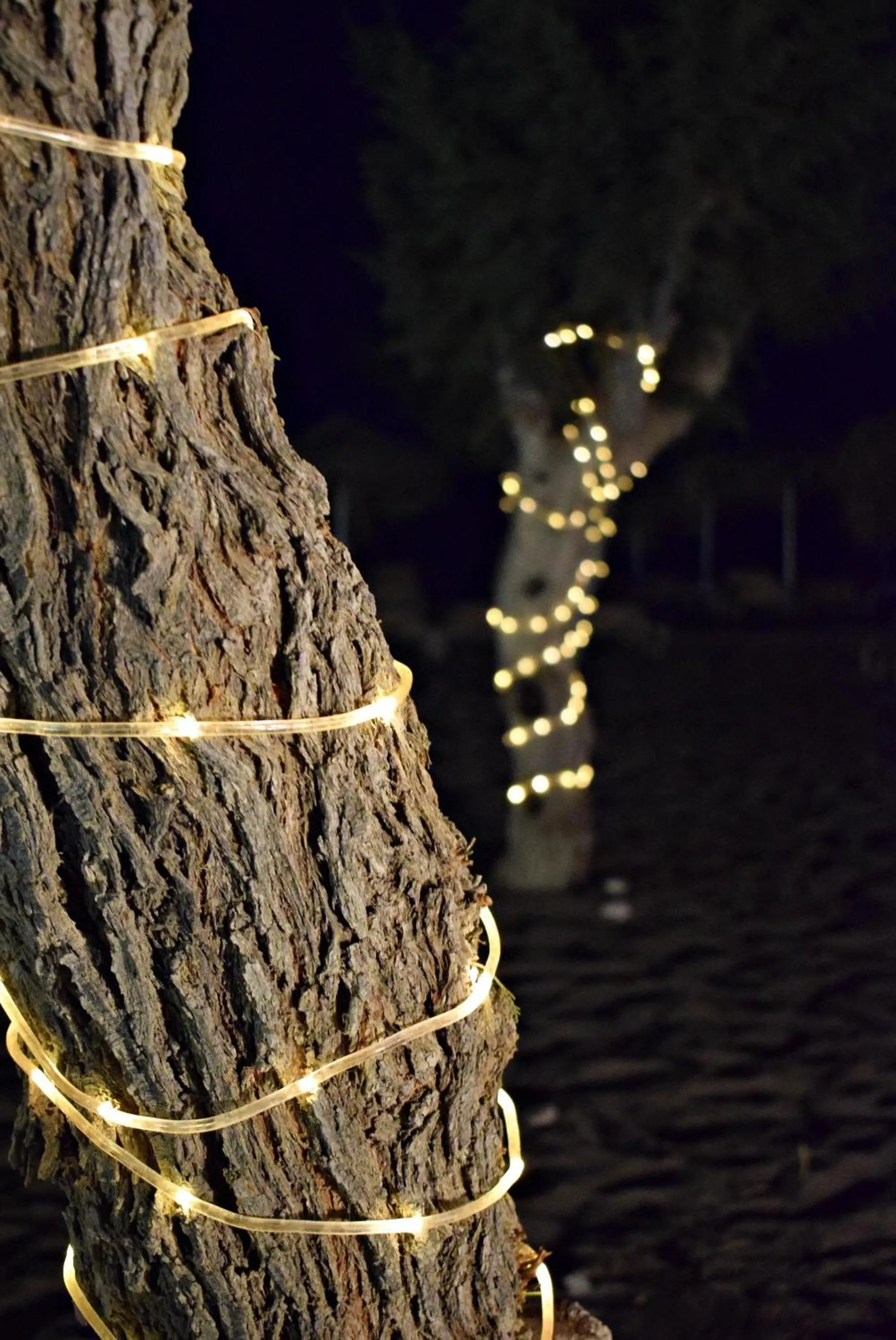 Natural landscape in Sun Beach Lindos