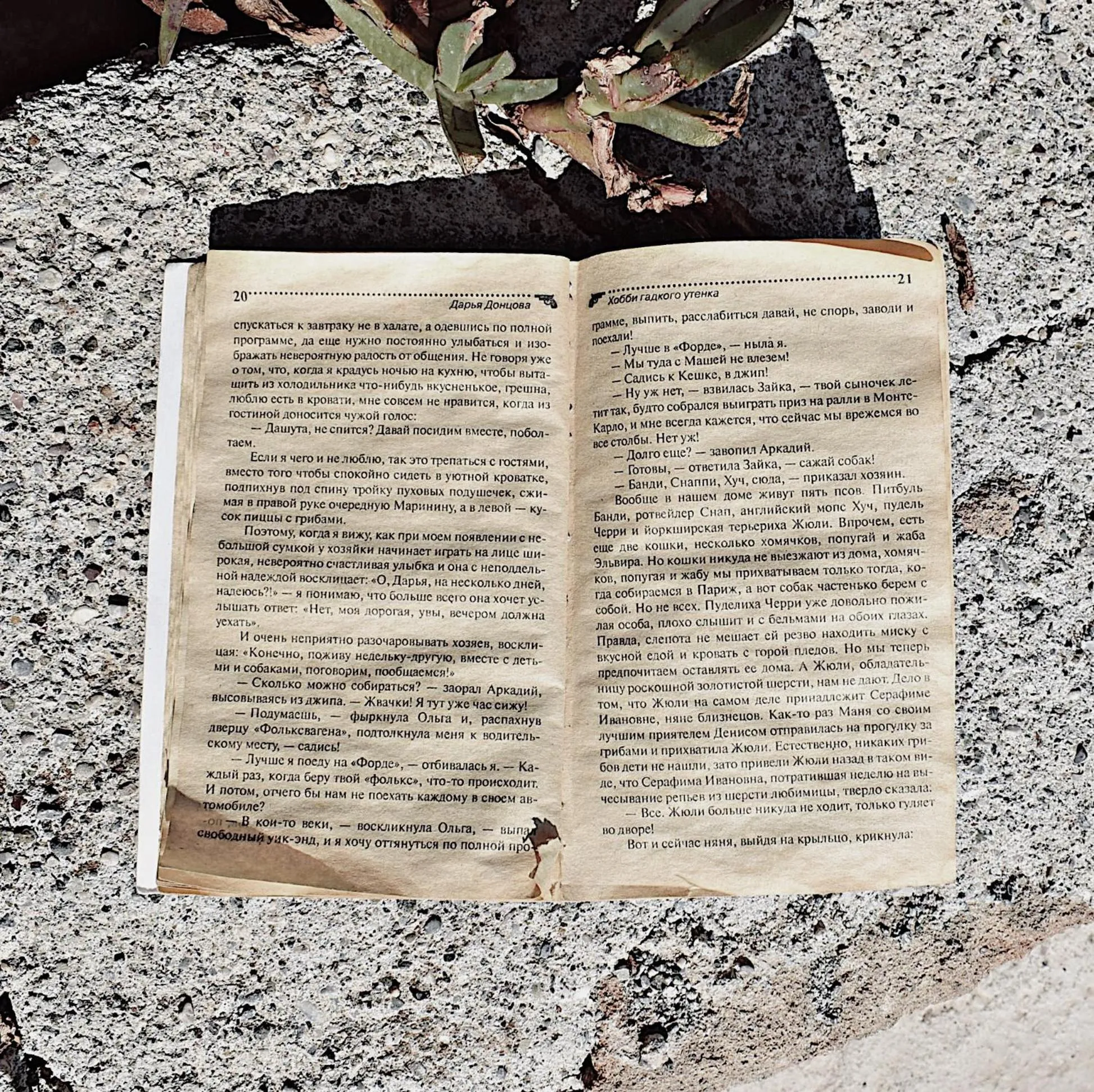 Bird's eye view in Sun Beach Lindos