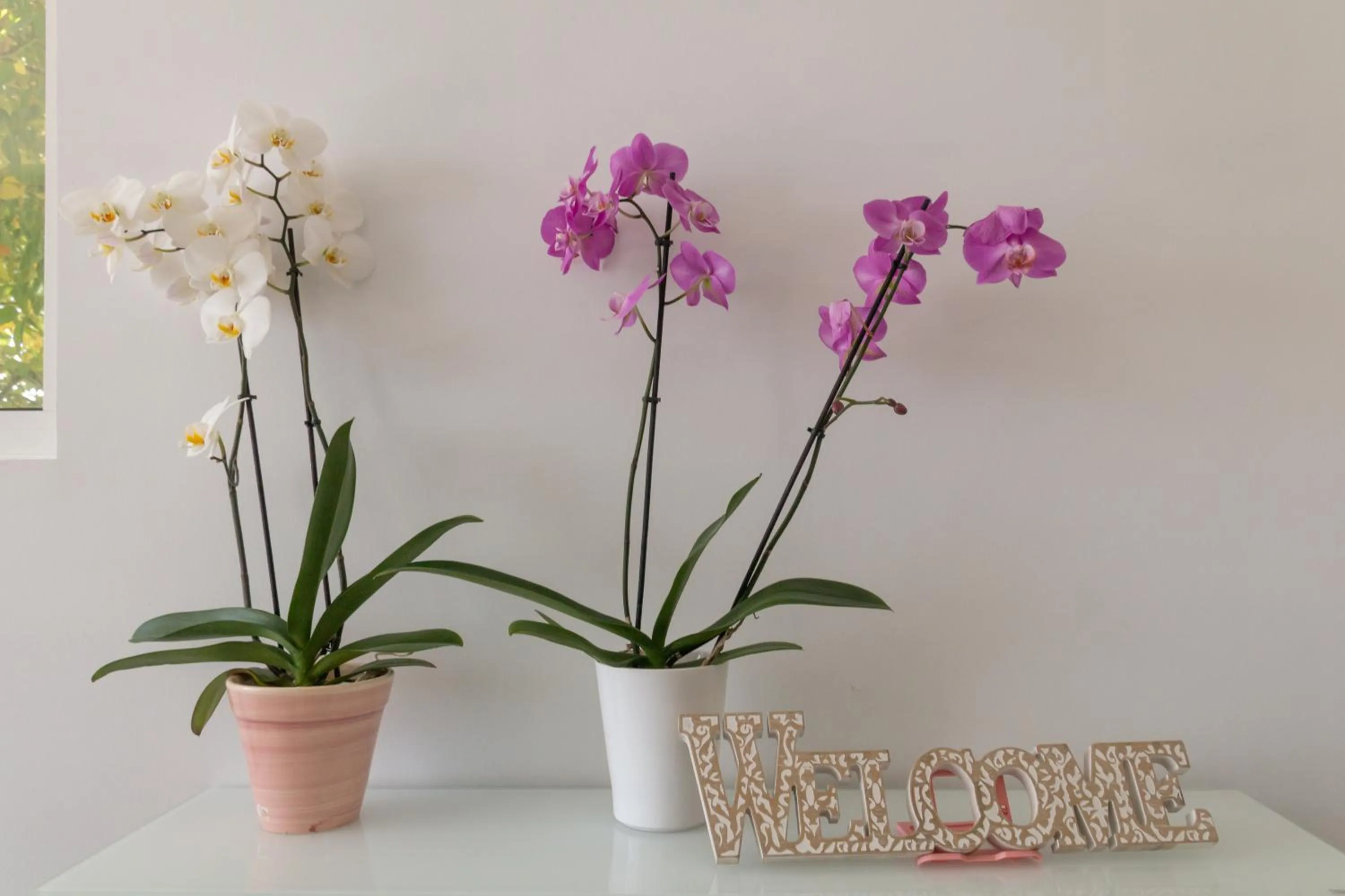 Lobby or reception in Sun Beach Lindos