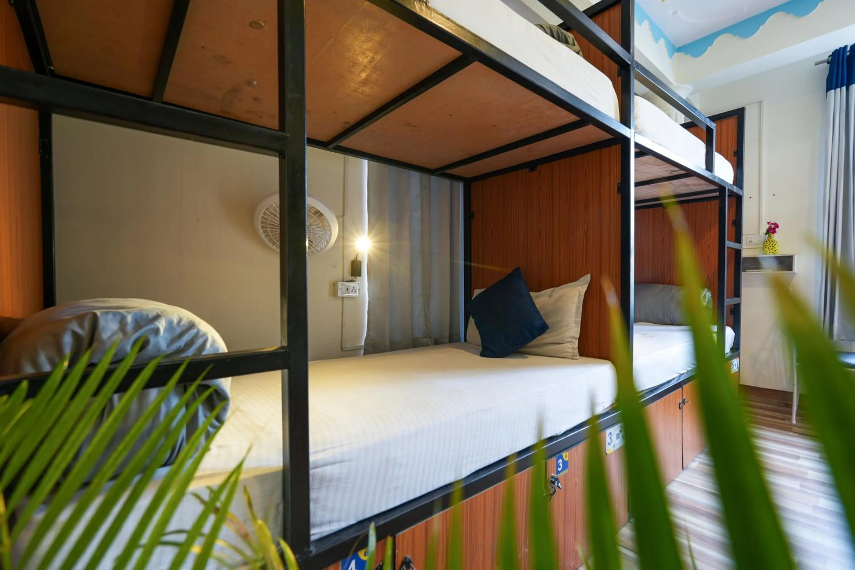 Bed in Shalom Backpackers Udaipur