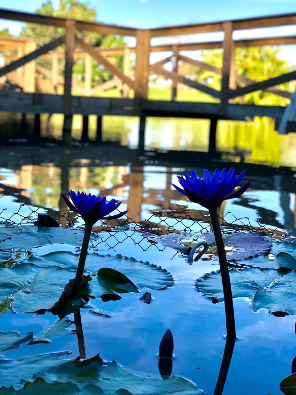 Natural landscape in Pousada Village dos Canyons
