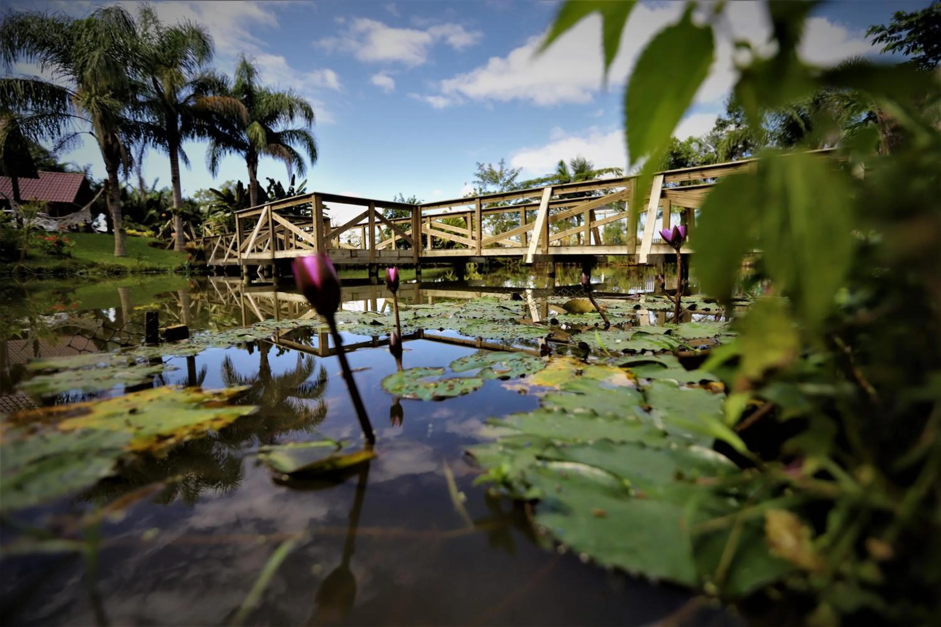 Garden view in Pousada Village dos Canyons