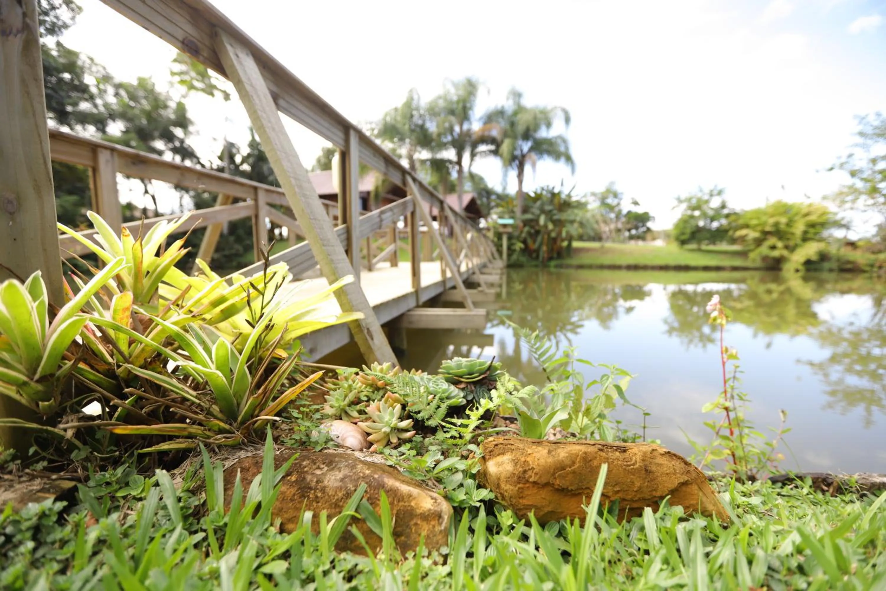 Natural landscape in Pousada Village dos Canyons