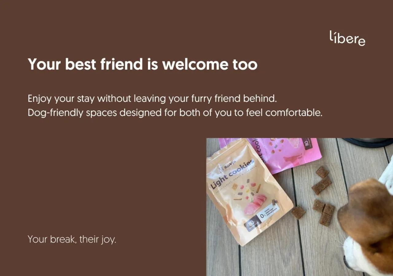 pet friendly in Líbere Madrid Malasaña