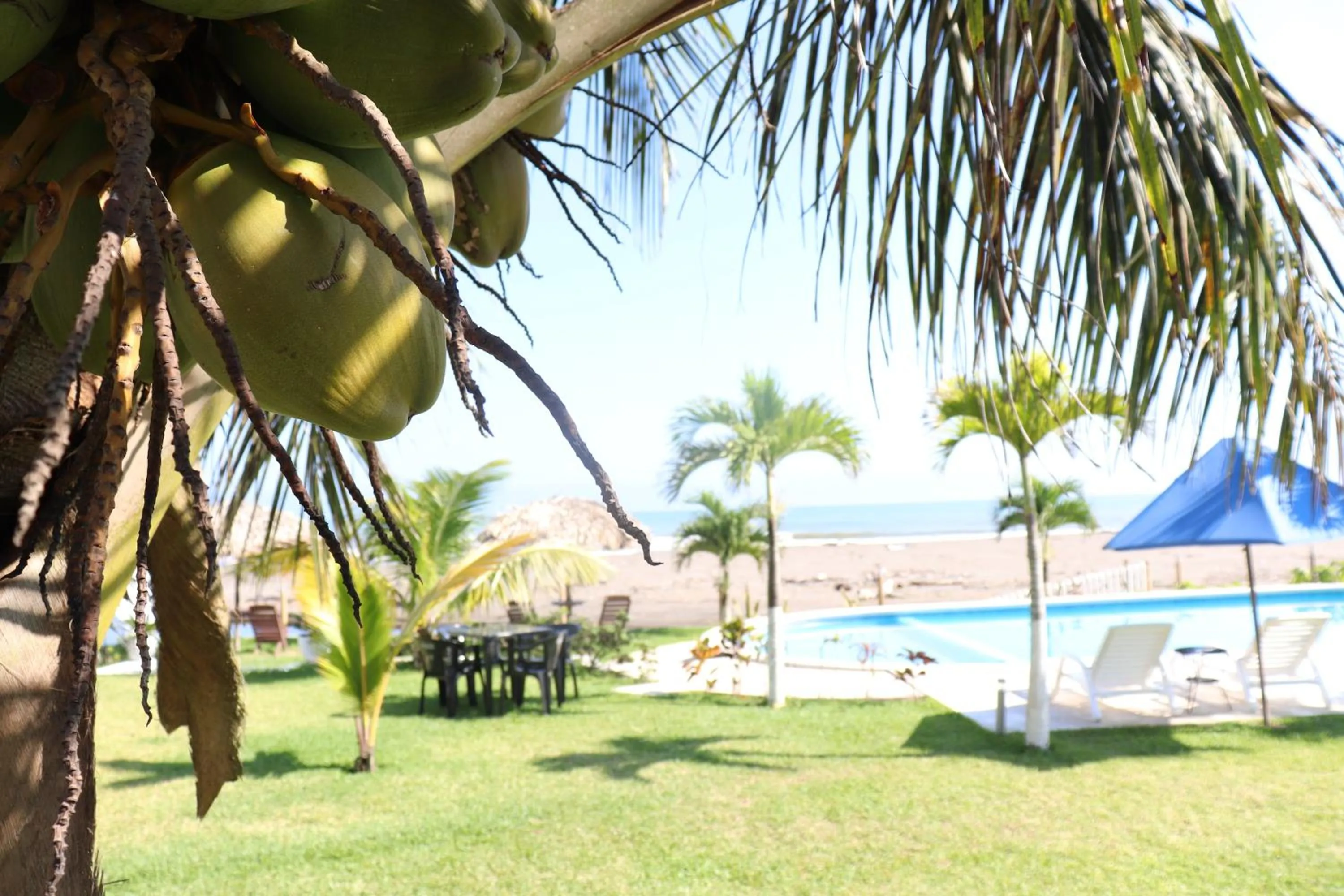 Garden in Hotel Lunazul In Costa Esmeralda