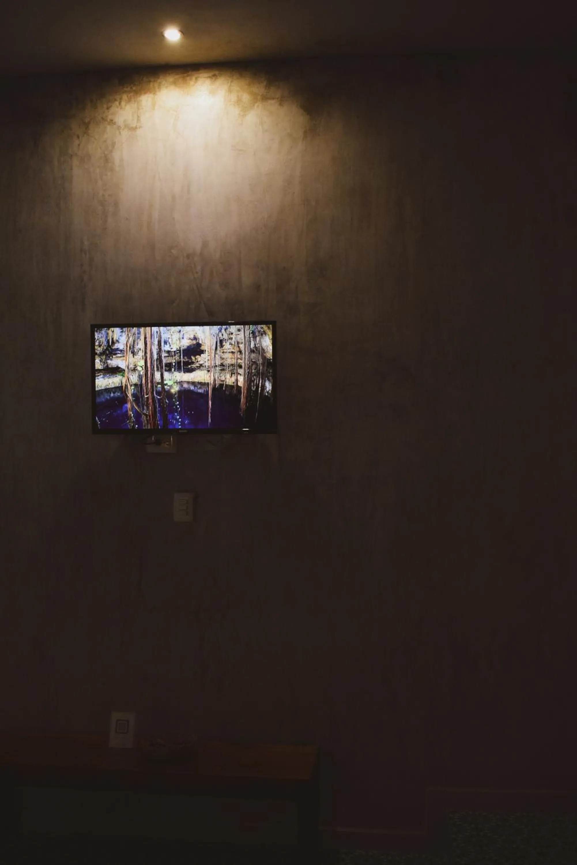 TV and multimedia in Hotel Boutique Bugambilias