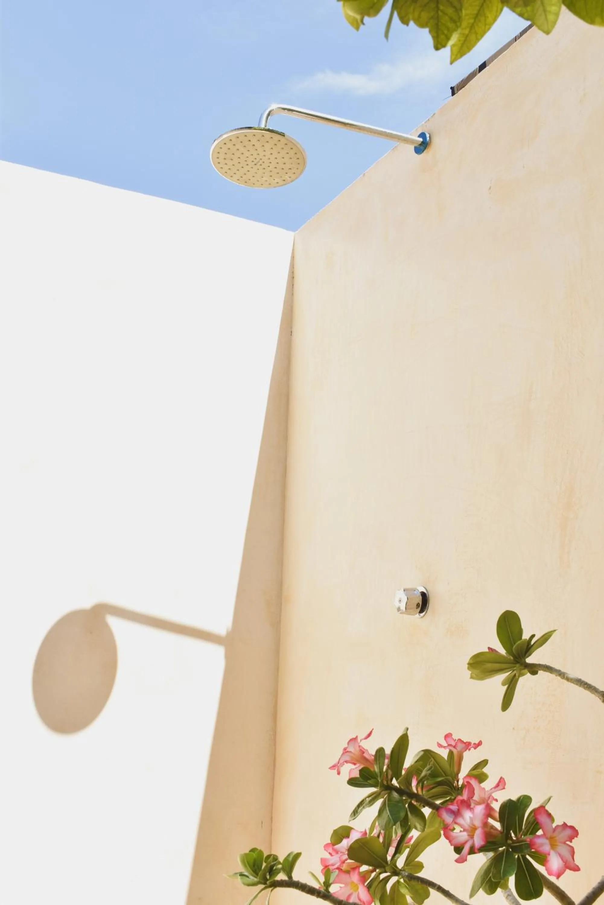 Day in Hotel Boutique Bugambilias