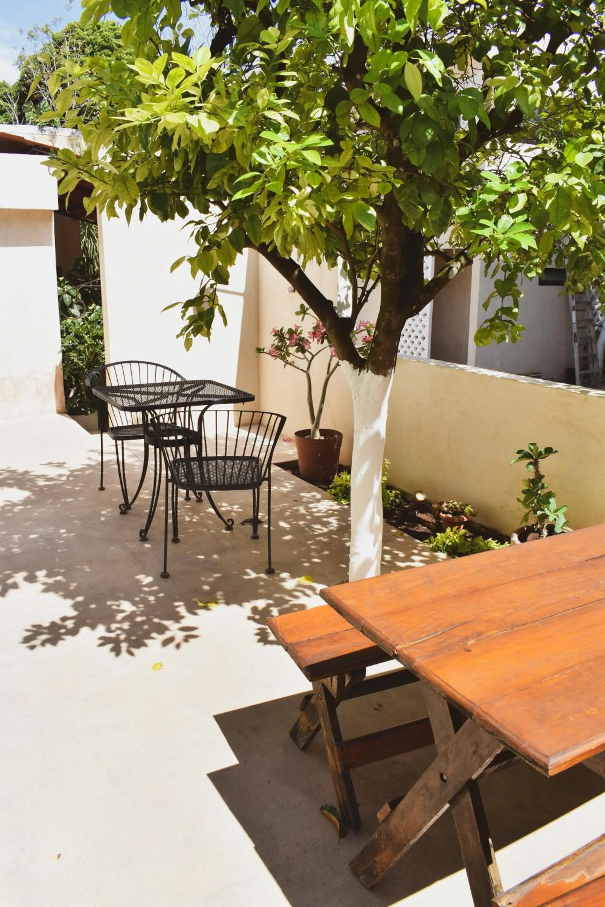 Patio in Hotel Boutique Bugambilias