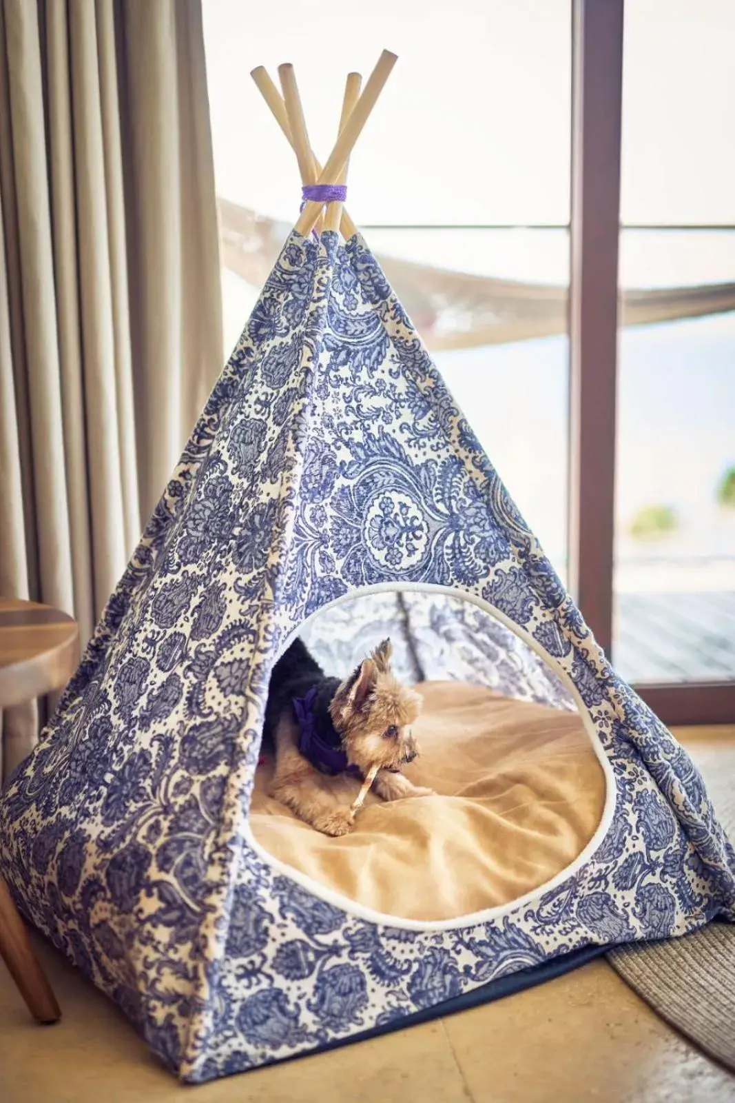 Suite with River View - single occupancy in Hotel Xcaret Arte - All Parks All Fun Inclusive - Adults Only Suite with River View - single occupancy in Hotel Xcaret Arte - All Parks All Fun Inclusive - Adults Only