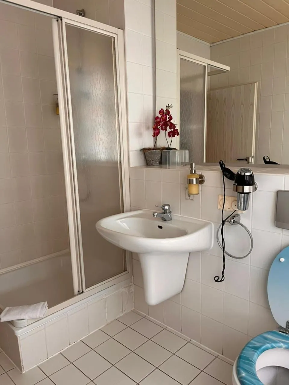 Shower in Hotel Elisenhof