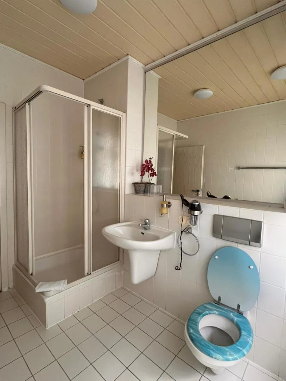 Shower in Hotel Elisenhof