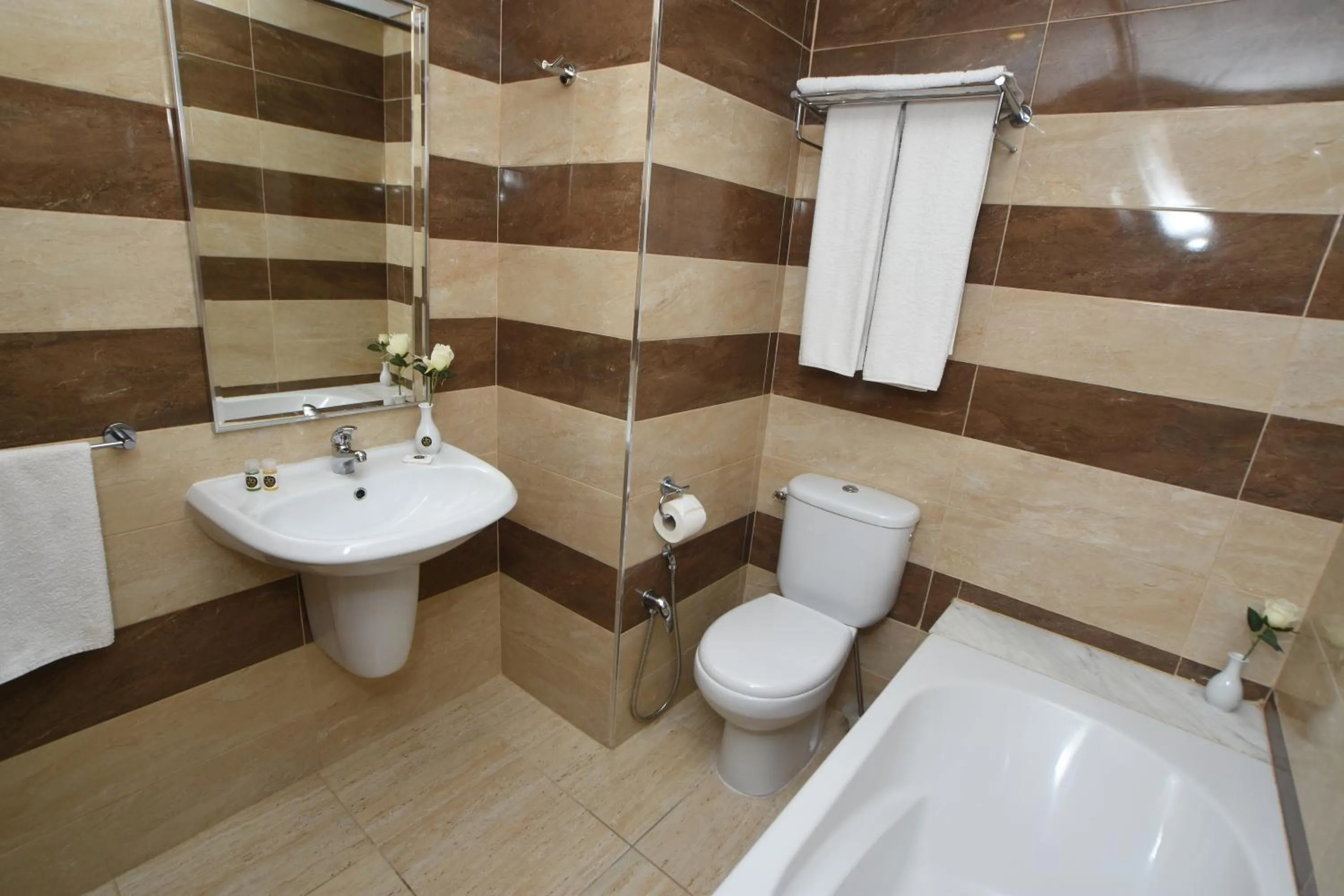 Bathroom in Downtown Tunis Hotel