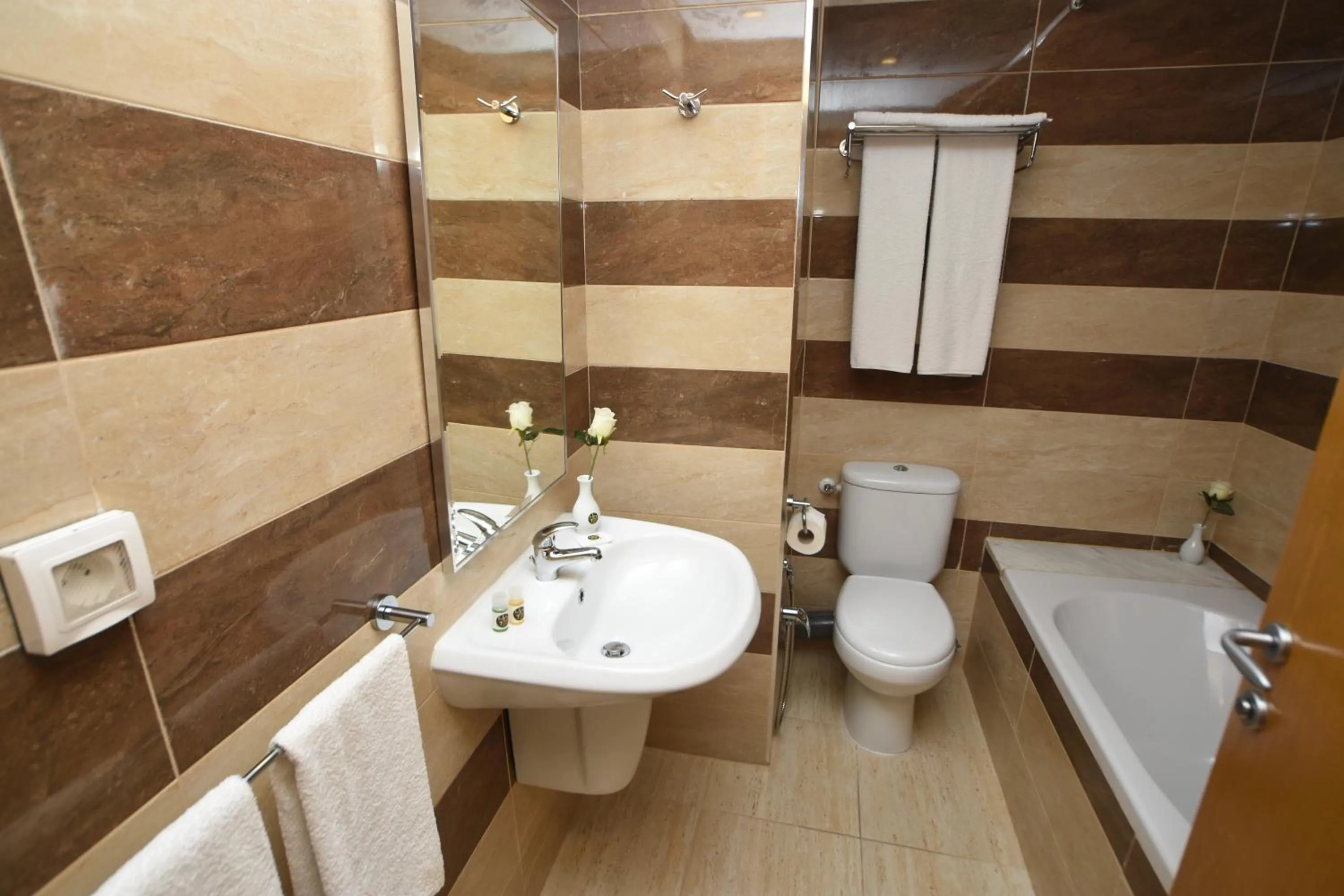 Bathroom in Downtown Tunis Hotel