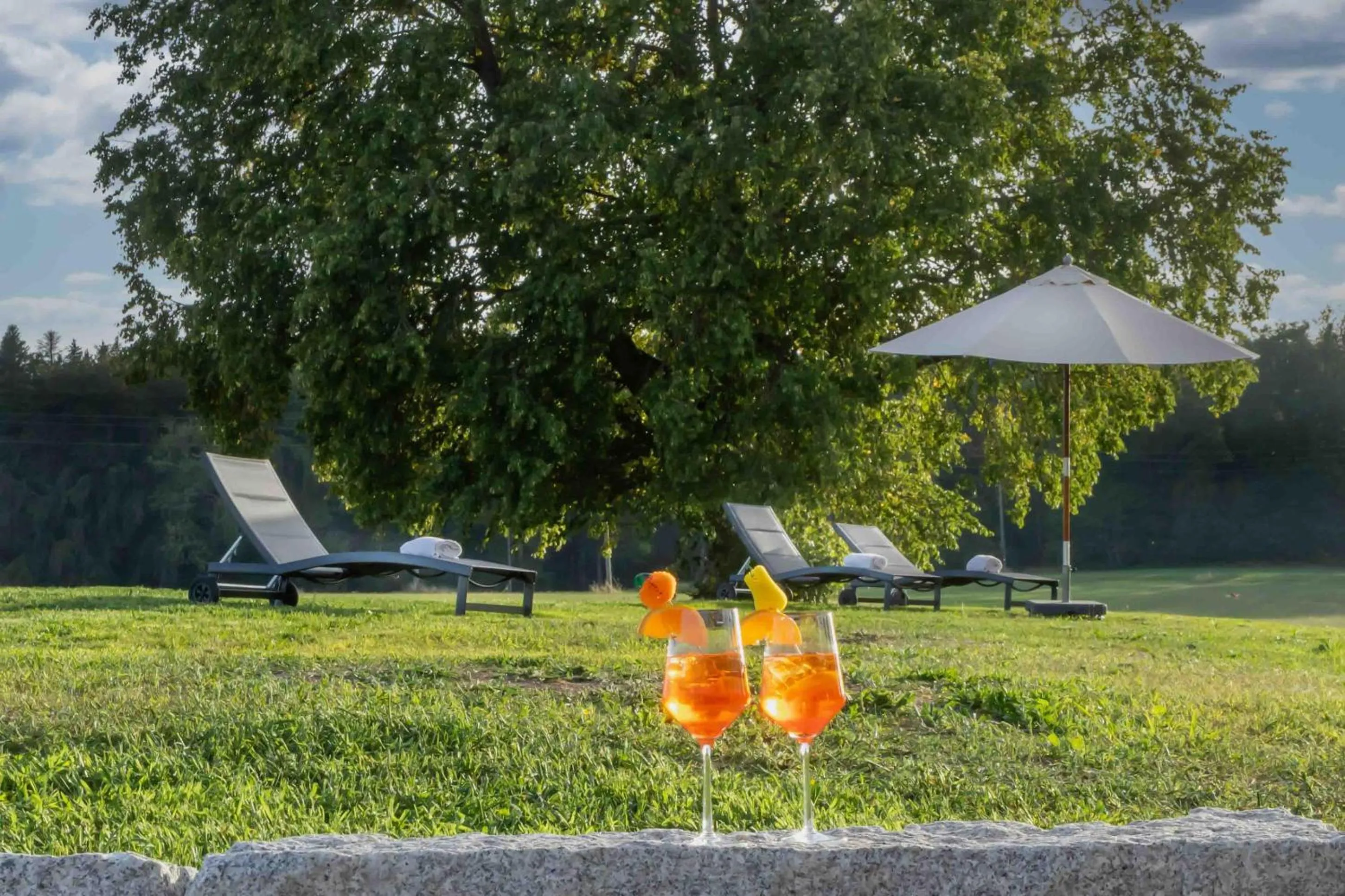 Spa and wellness centre/facilities in Wellnesshotel Sonnenhof & Sonnhalde