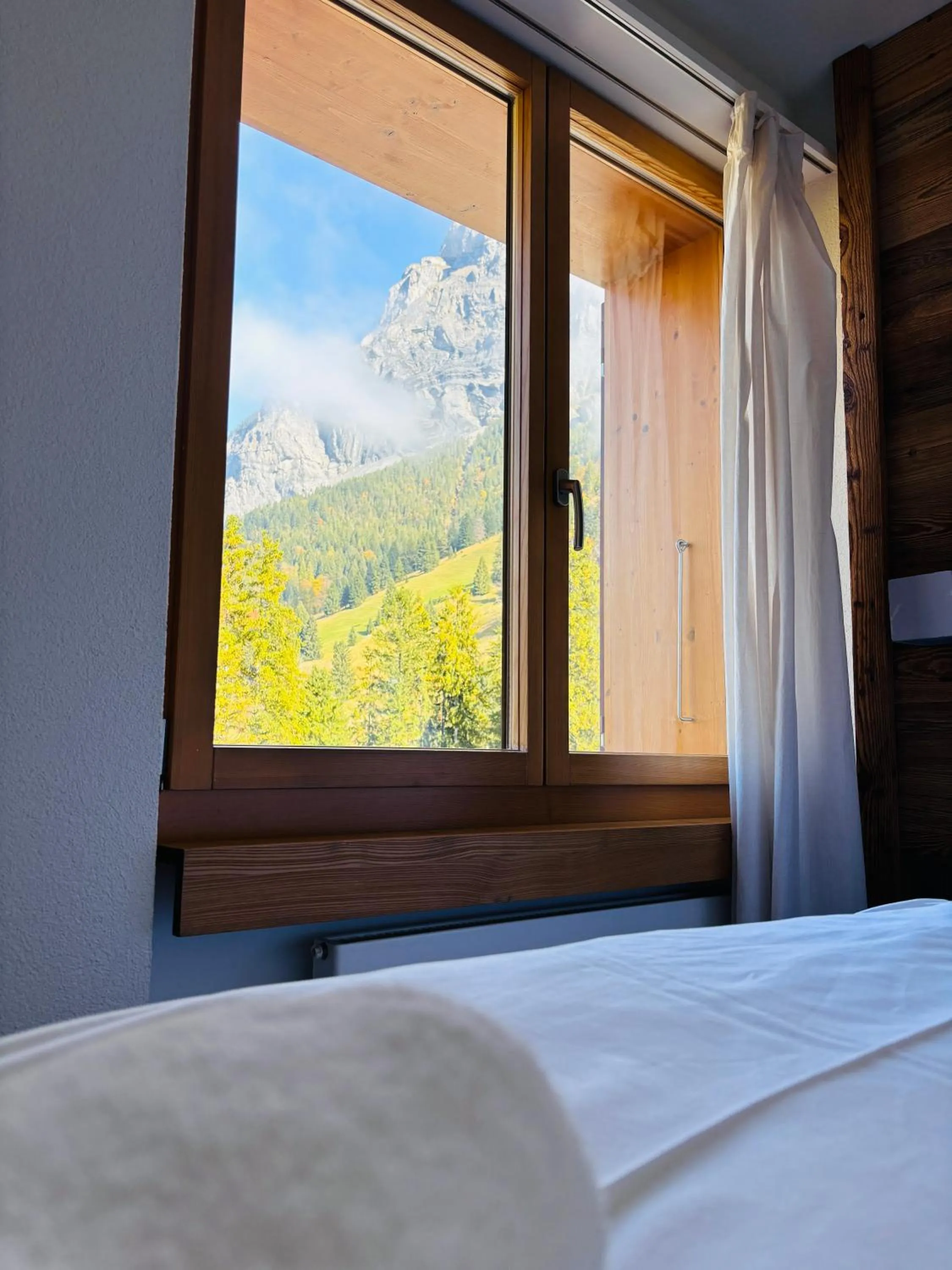 Natural landscape, Bed in Typically Swiss Hotel Ermitage