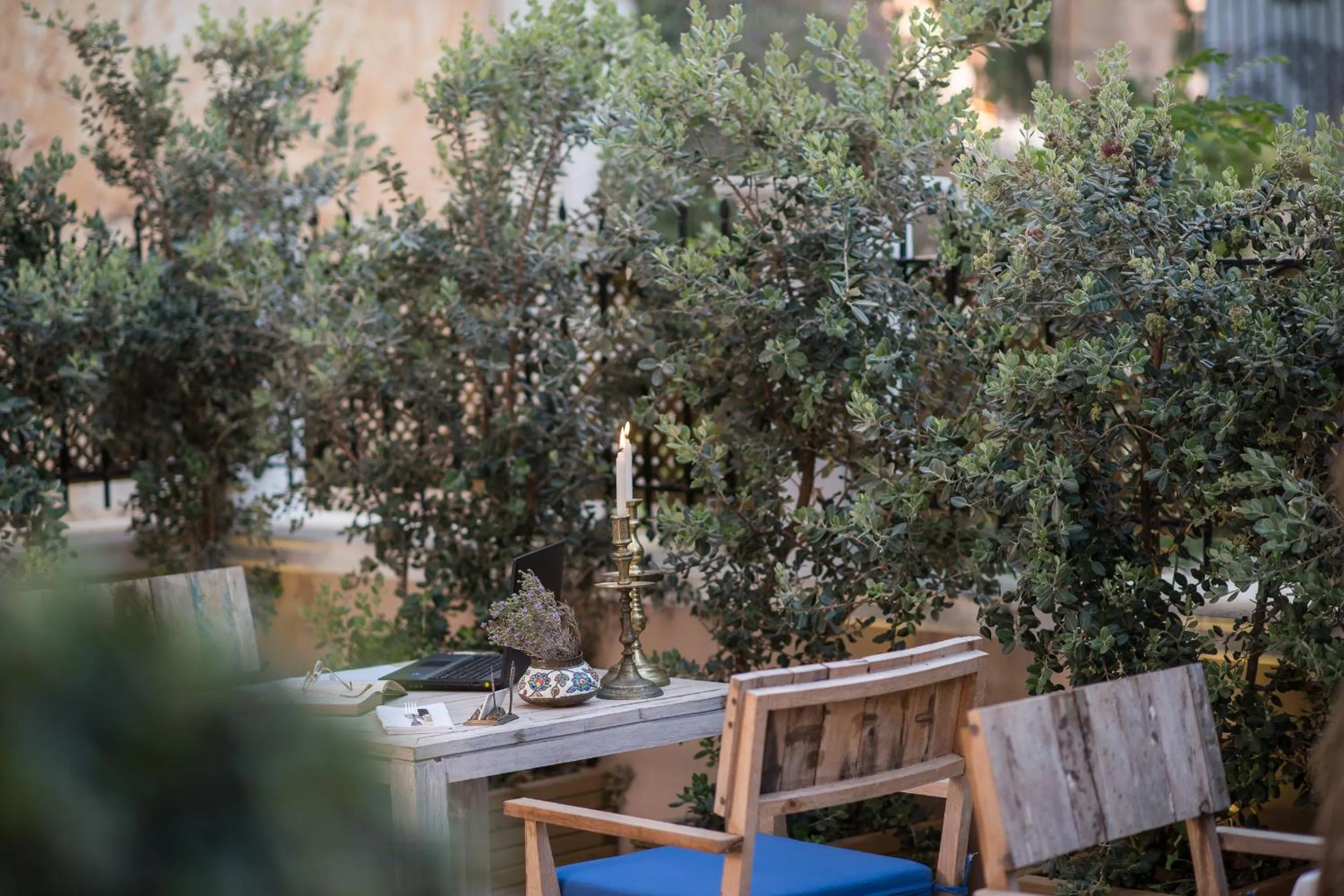 Garden in La Maison Ottomane