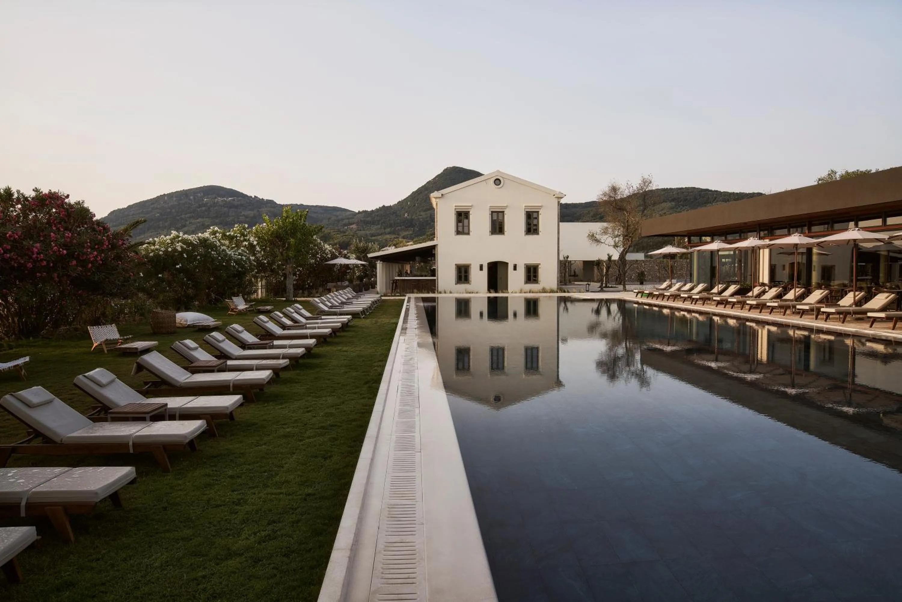 Swimming pool in The Olivar Suites
