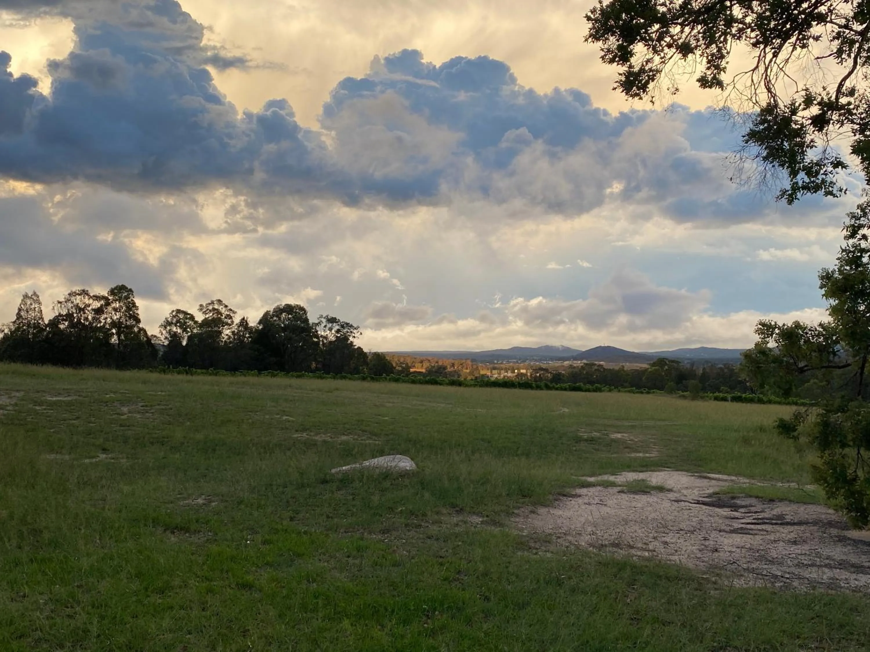 City view in Big Fella Wines & Farmstay