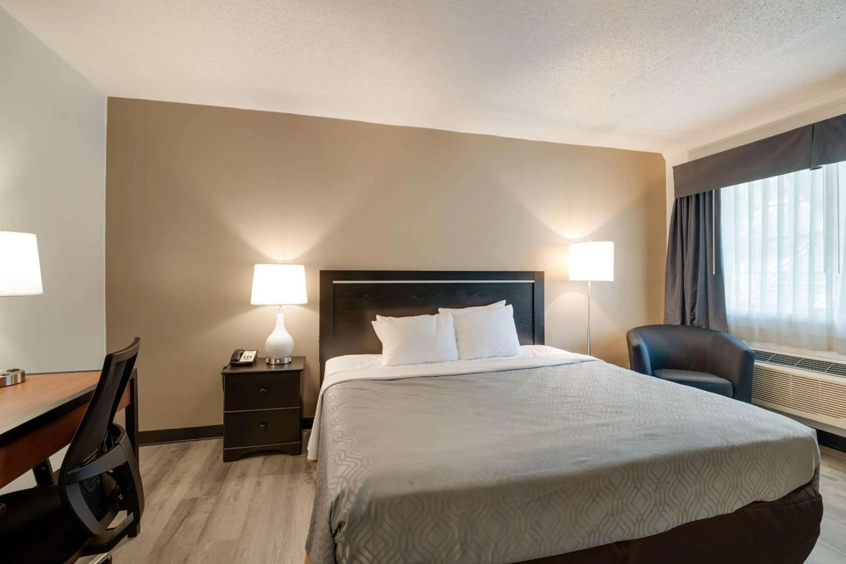 Bedroom, Bed in Econo Lodge Auburn I-95