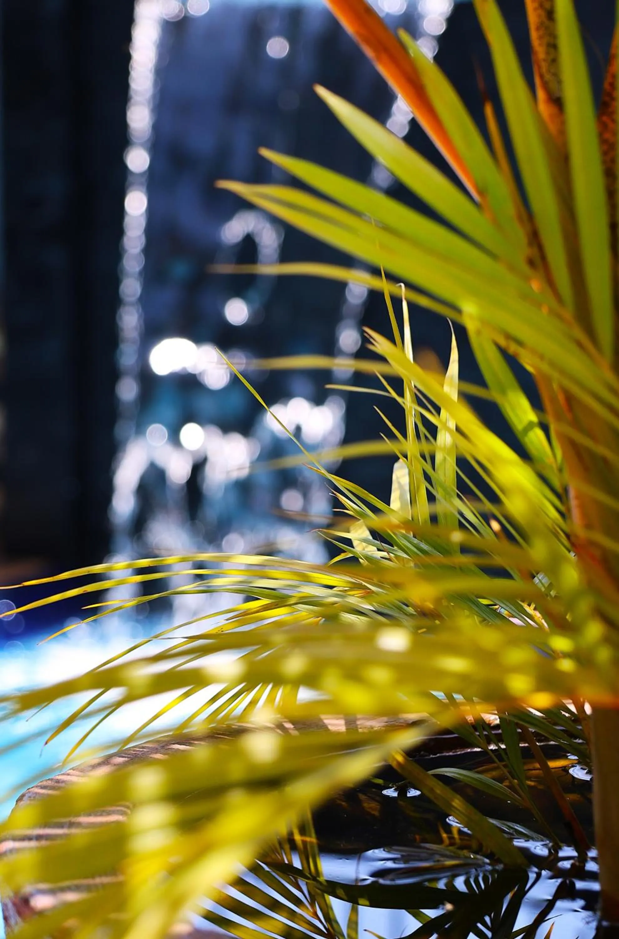 Swimming pool in ENTEBBESTAY APARTHOTEL - Kitooro