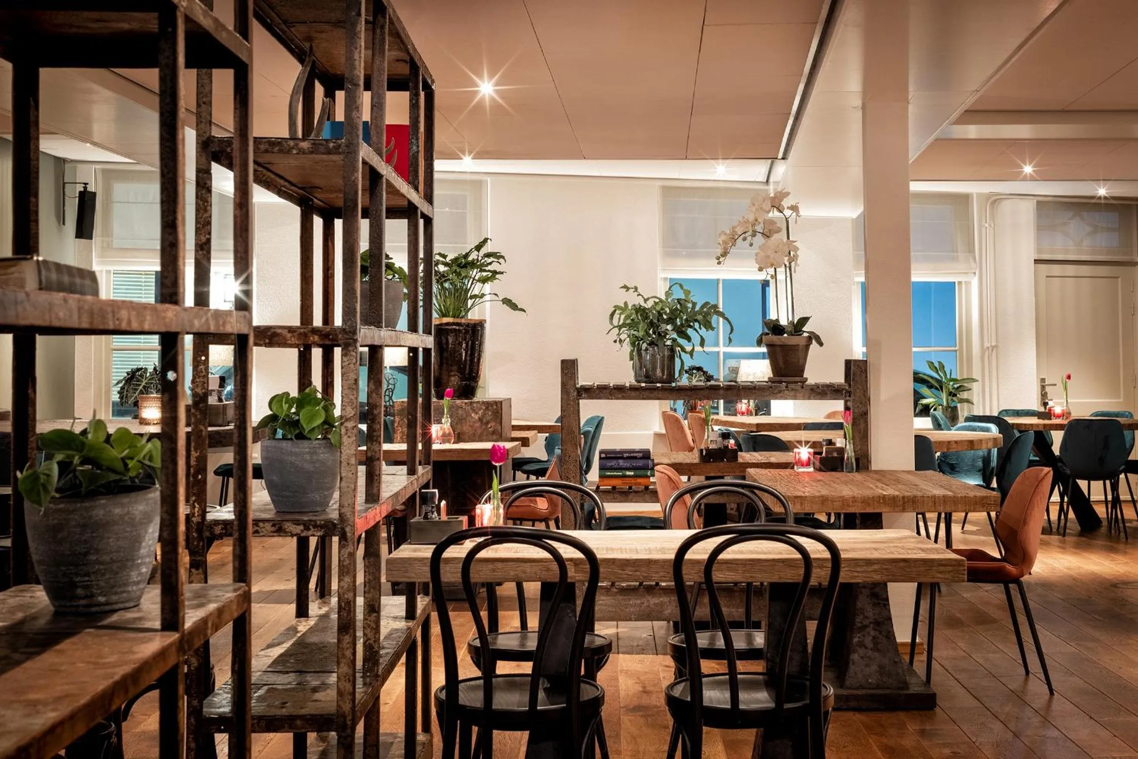 Restaurant/places to eat in Broeck Oudewater