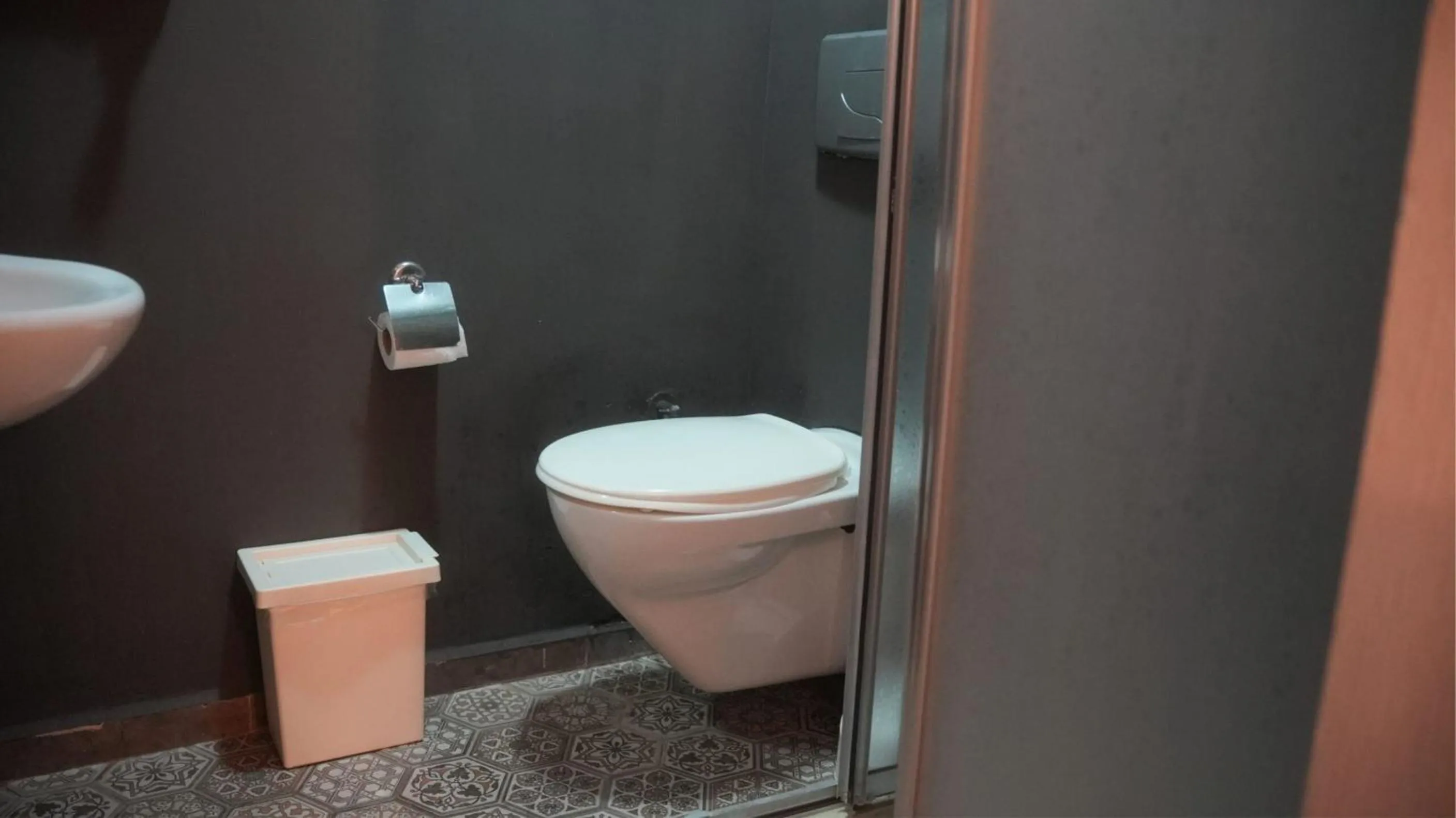 Toilet in Treetops Park Hotel